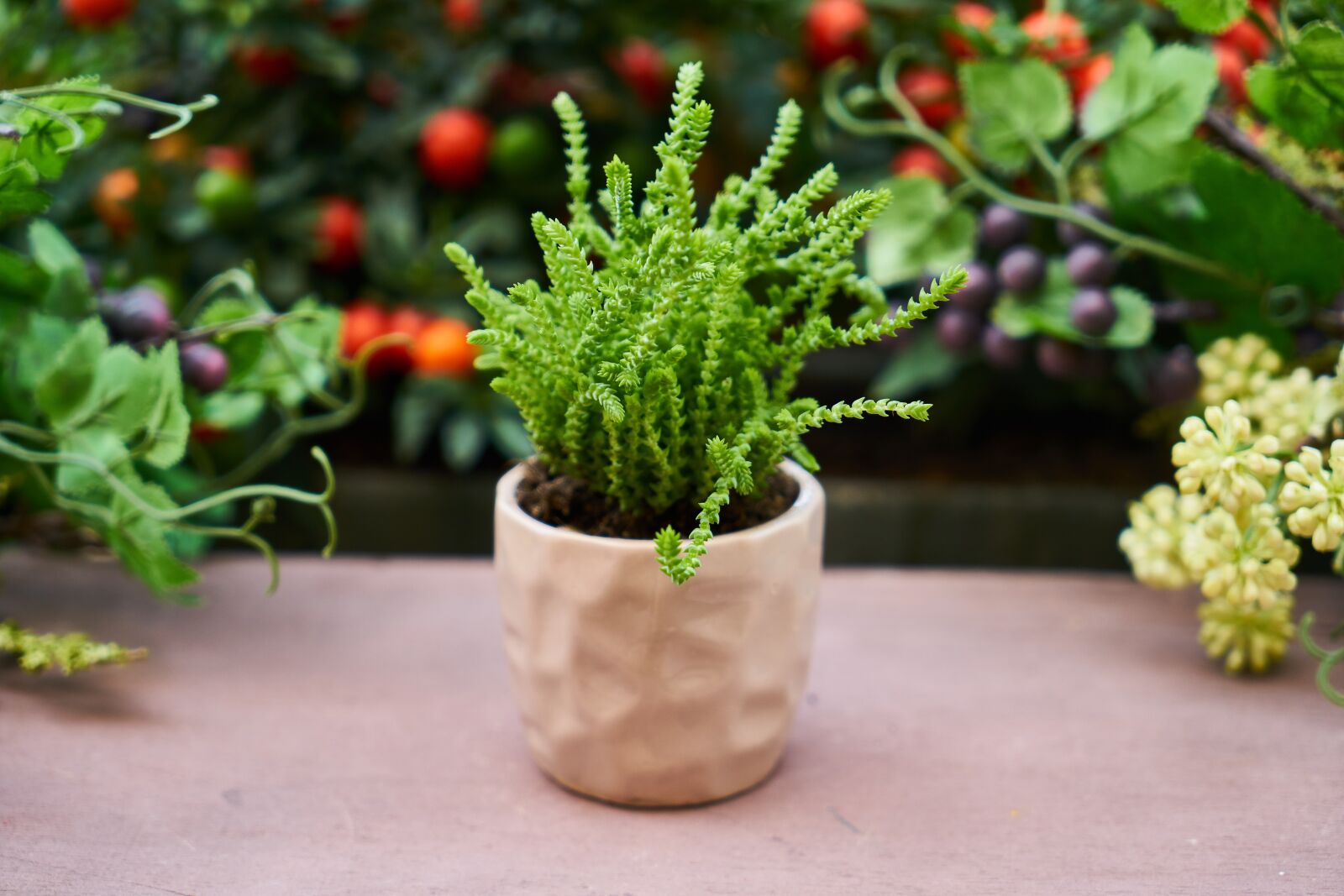 Sony a7R II sample photo. Flower, flowerpot, nature photography