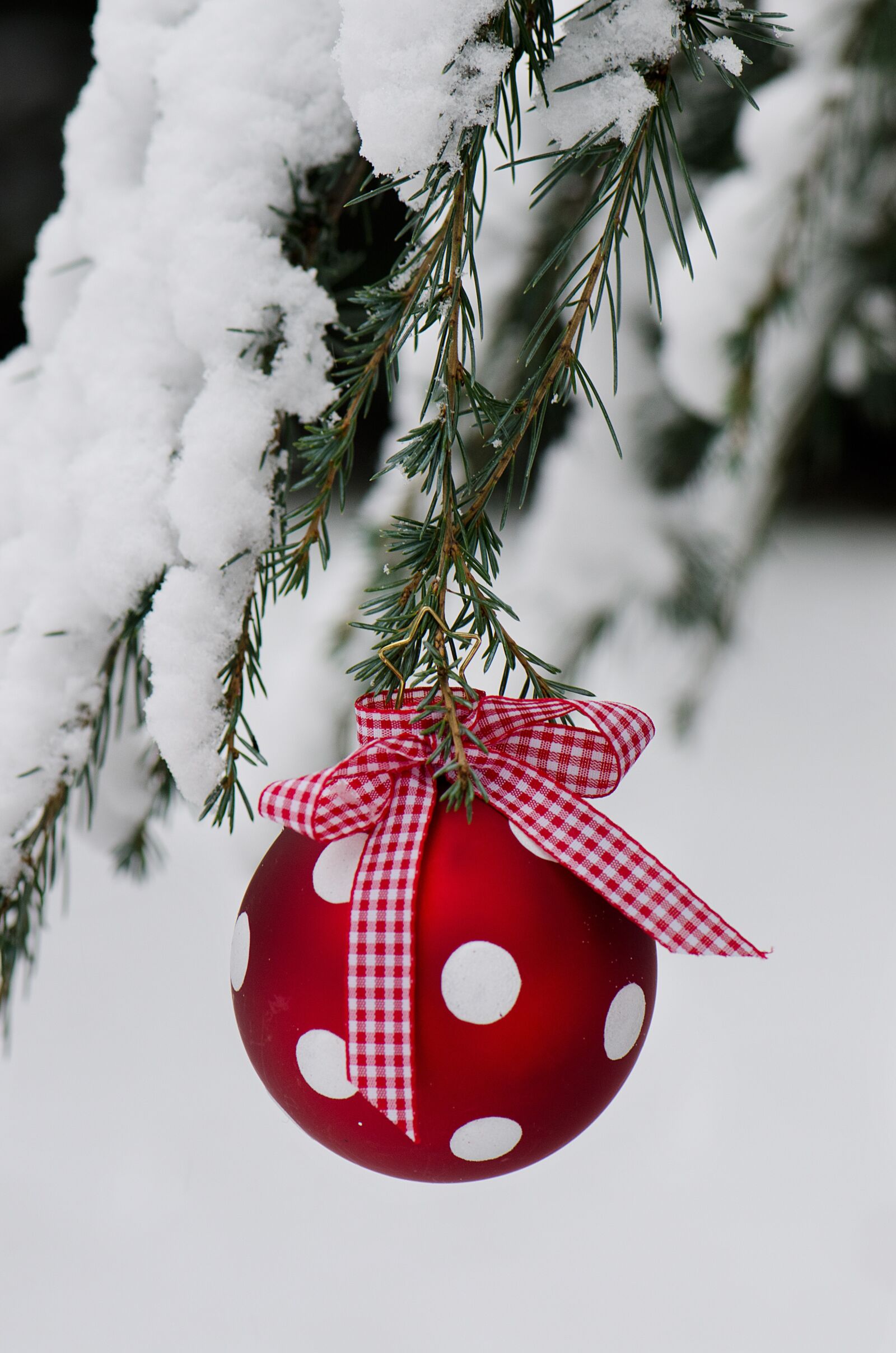 Nikon D7000 sample photo. Winter, christmas, snow photography
