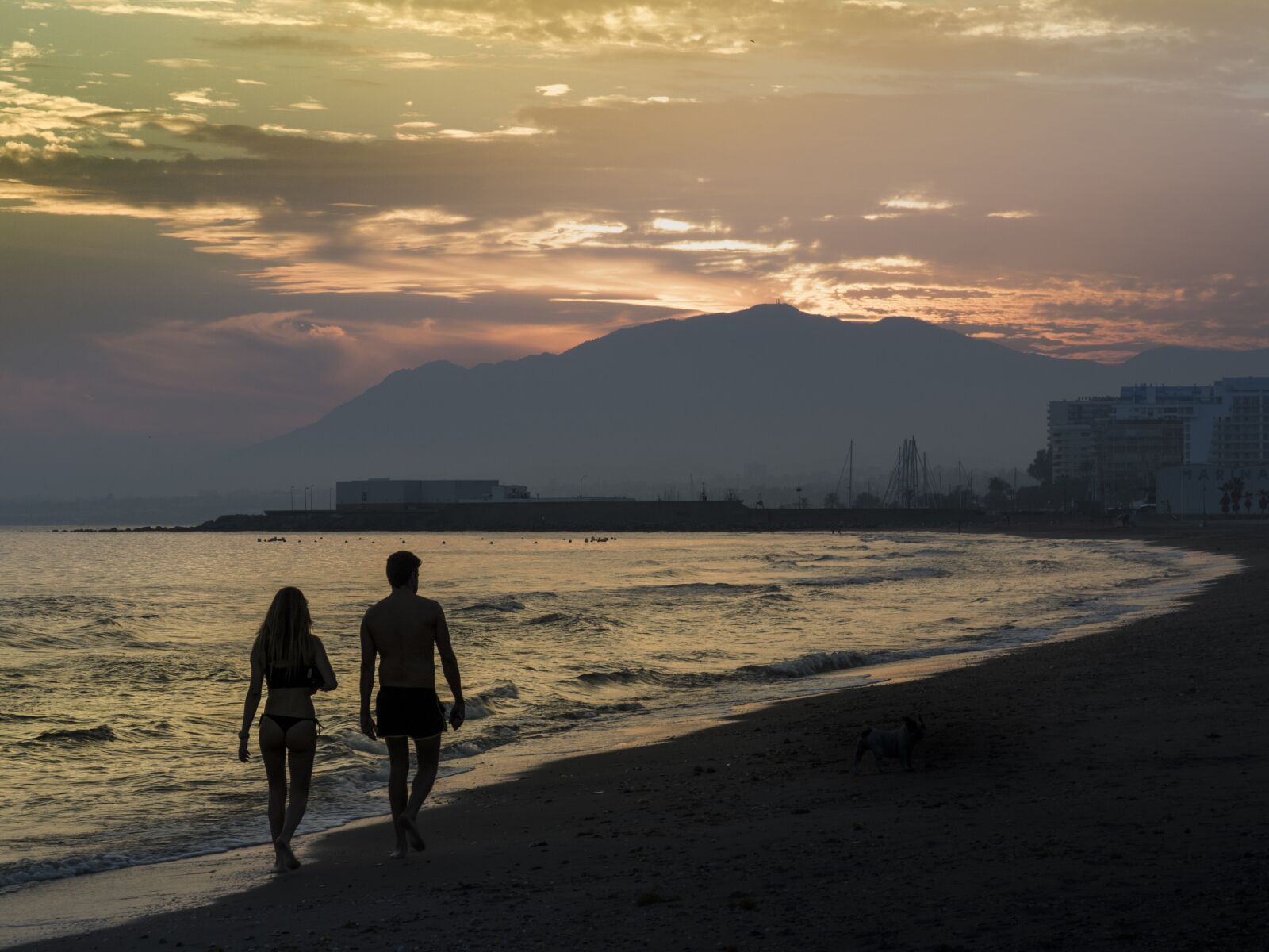 Olympus OM-D E-M5 II sample photo. Couple, sunset, beach photography