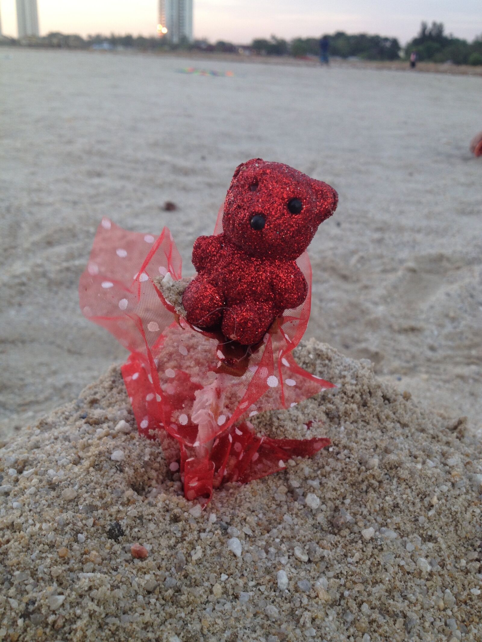 Apple iPhone 4S sample photo. Red, bear, seaside photography