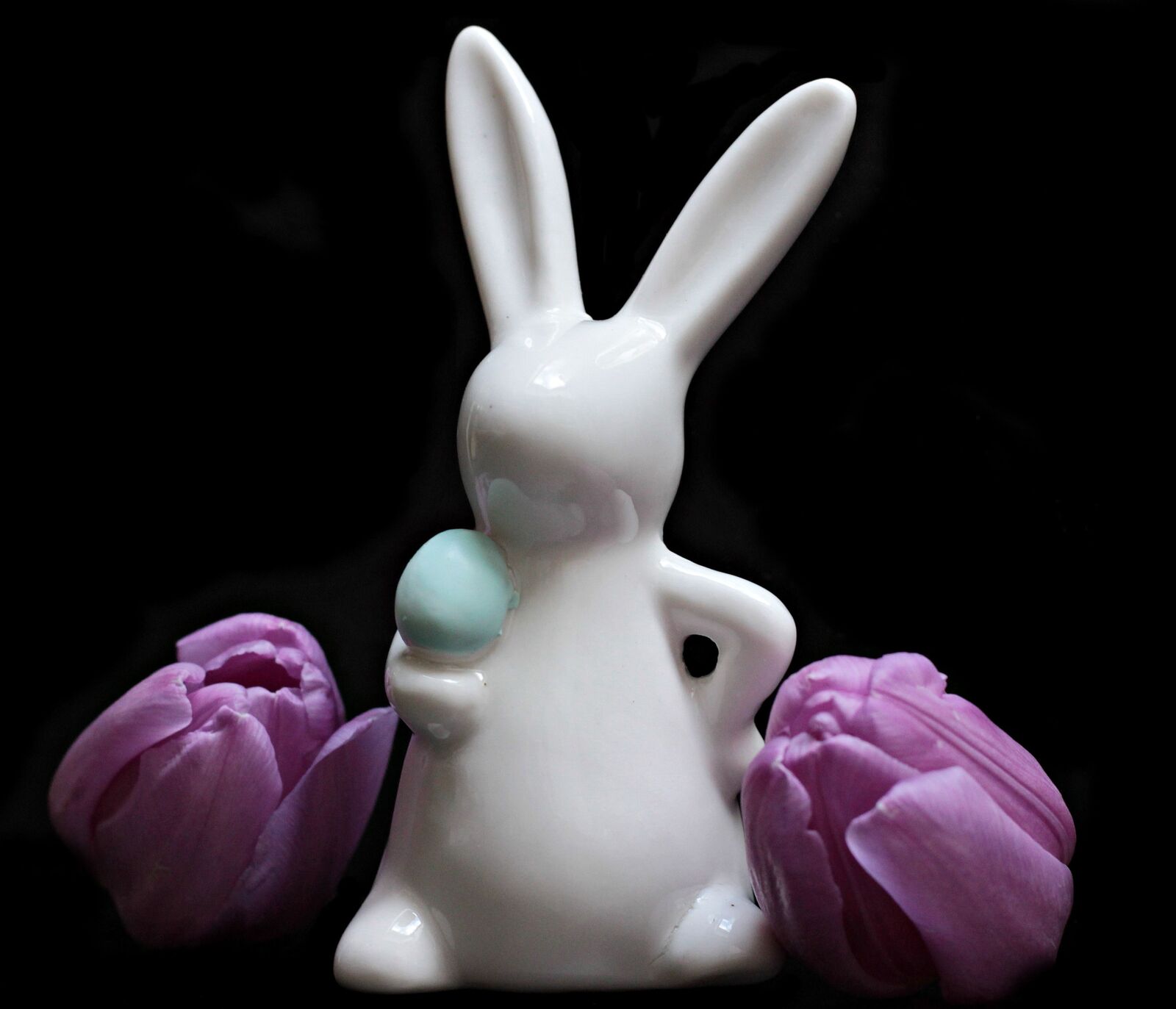 Canon EOS 550D (EOS Rebel T2i / EOS Kiss X4) sample photo. Easter rabbit, flower, petal photography