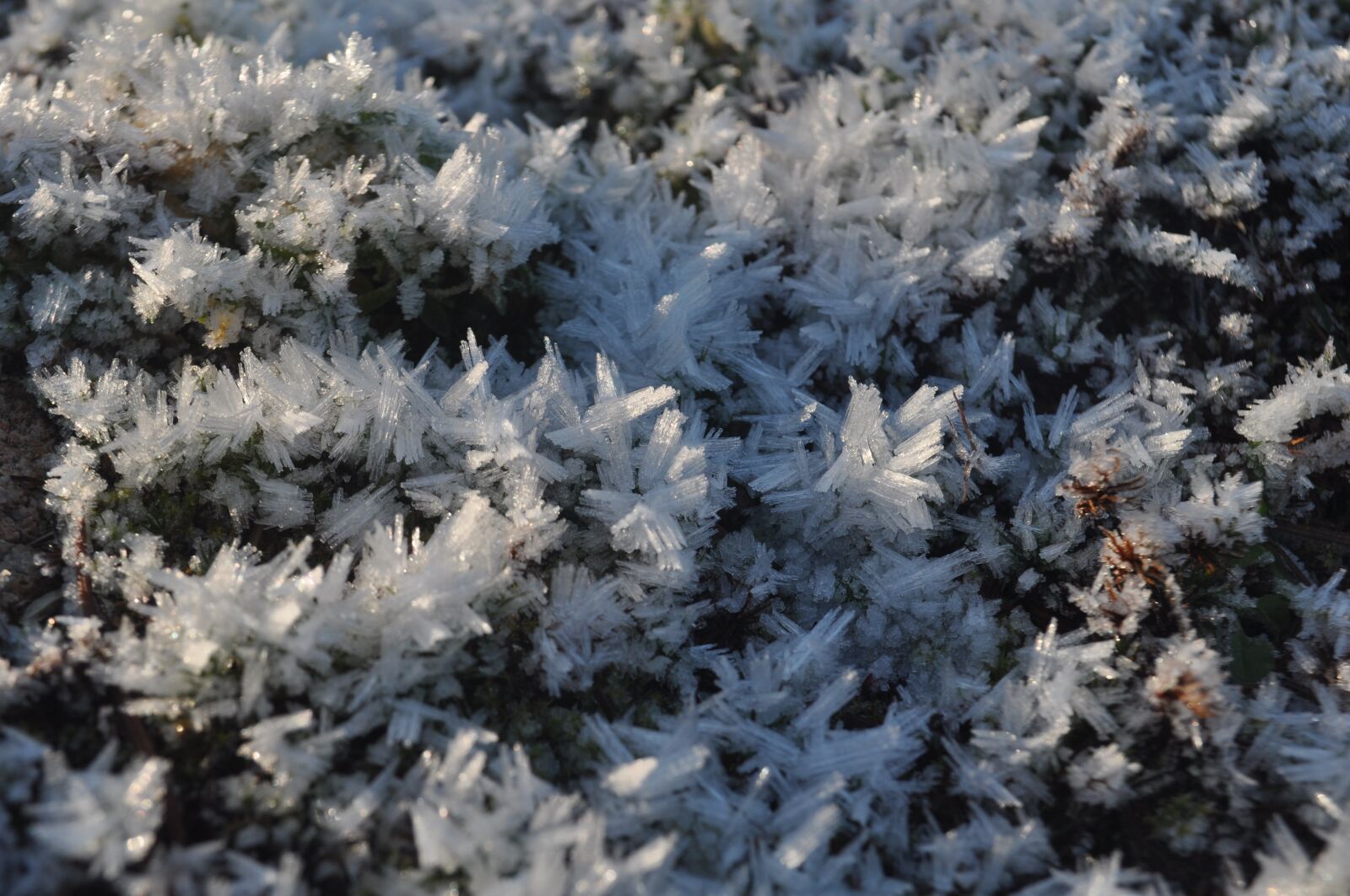 Nikon D5000 sample photo. Frost, winter, nordic photography