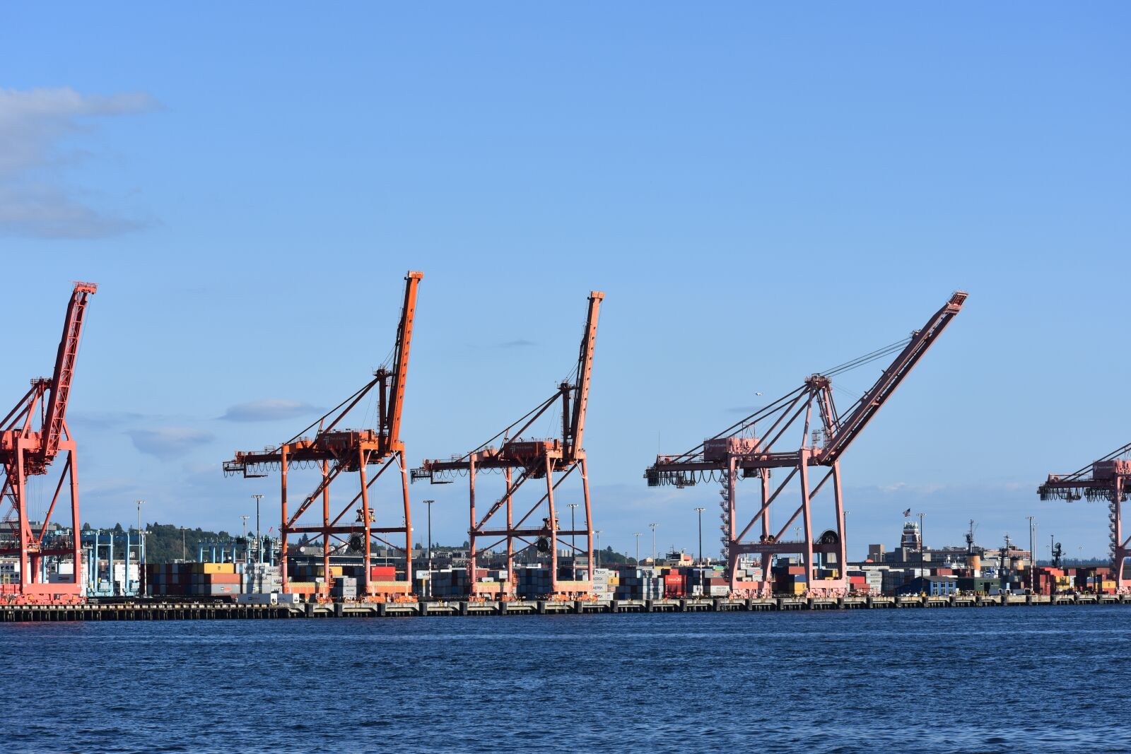 Nikon D3400 sample photo. Lake, pink, crane photography