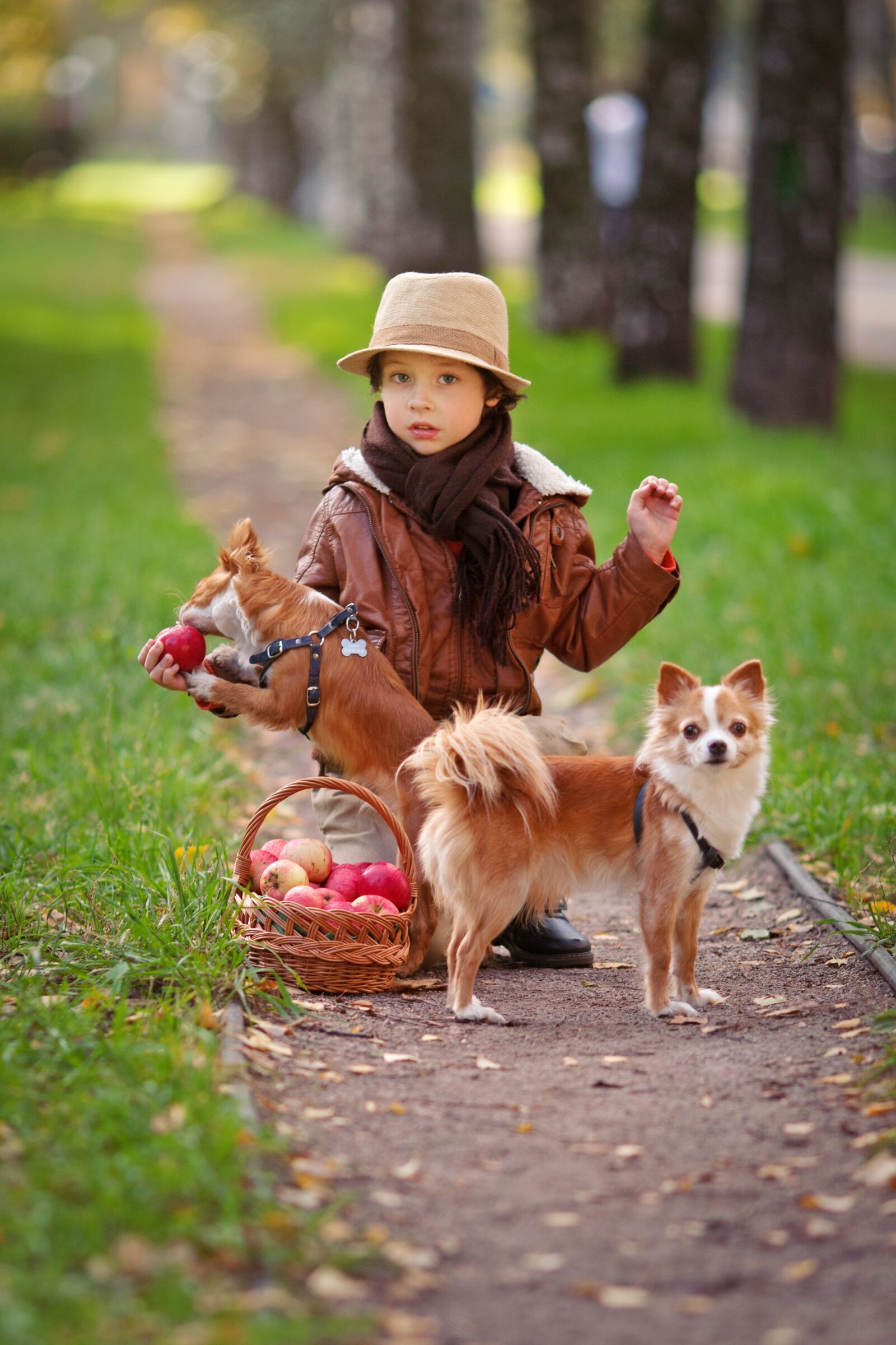 Canon EOS 5D Mark II sample photo. Dogs, dog, pet photography