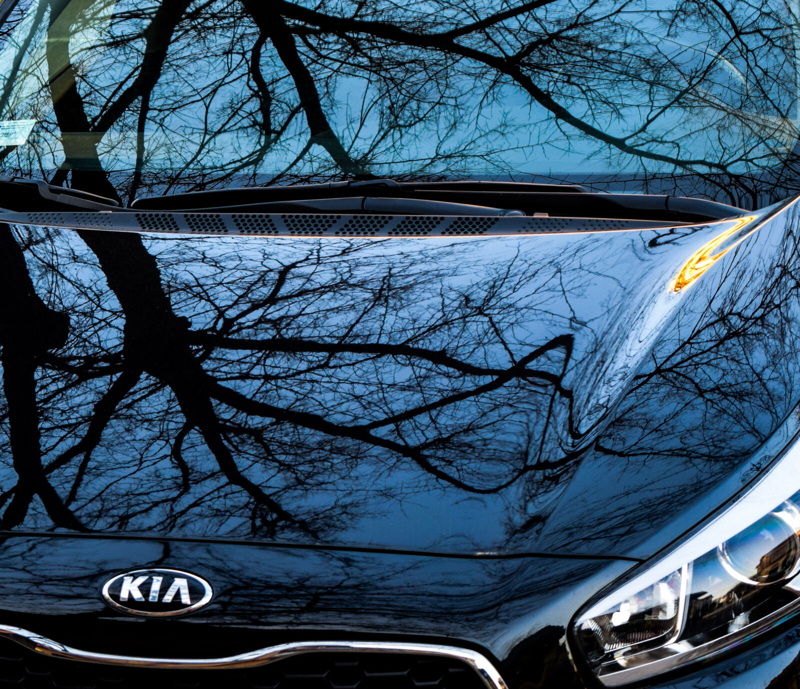 Nikon D3300 sample photo. Automobile, blue, car, kia photography