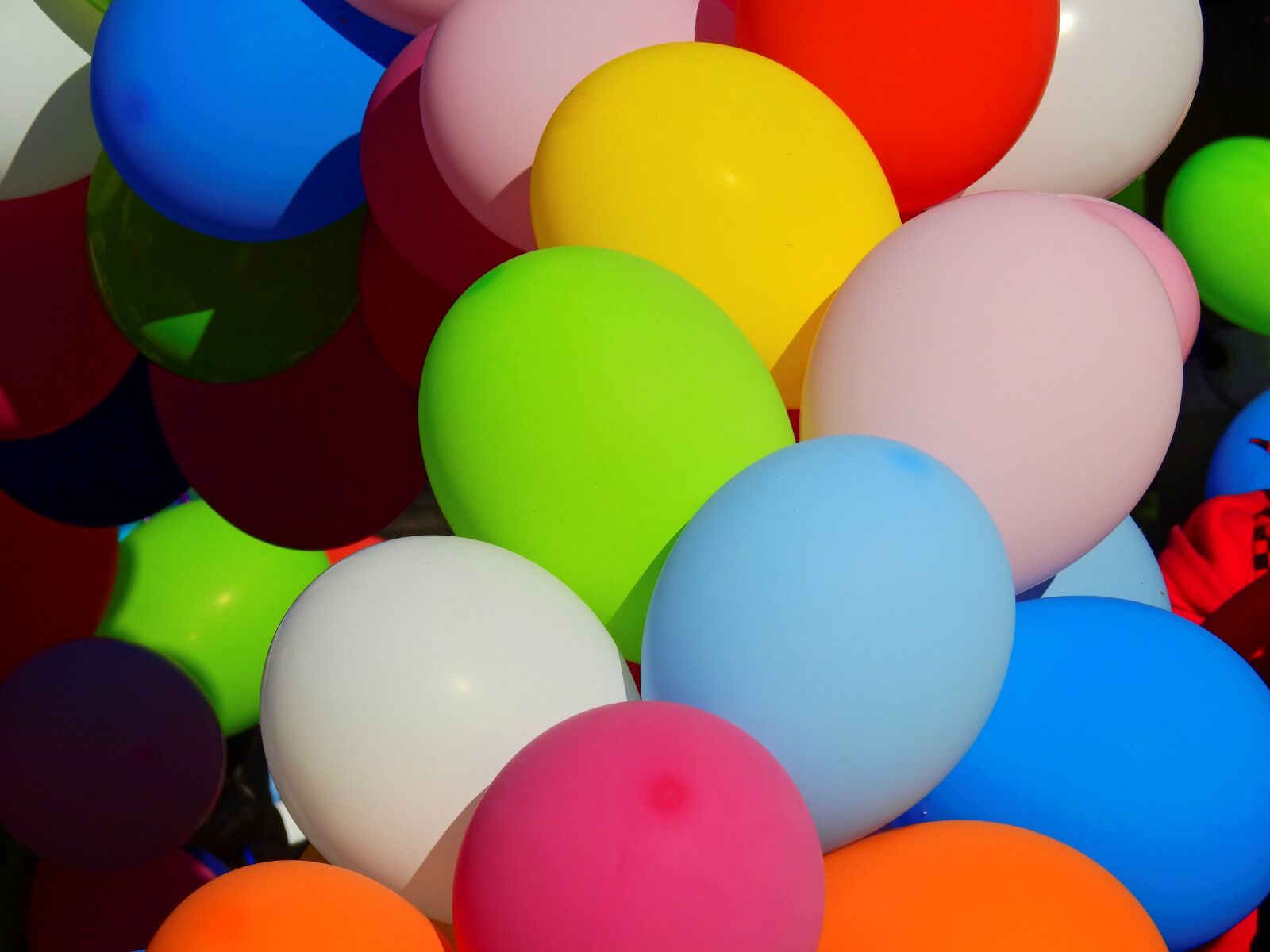 Nikon Coolpix P900 sample photo. Balloon, party, carnival photography