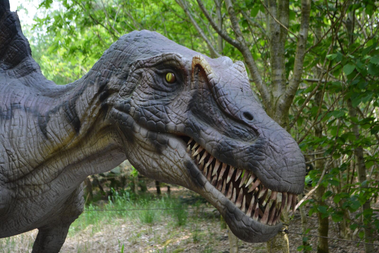 Nikon D5200 sample photo. Dinosaur, dino, carnivorous dinosaurs photography