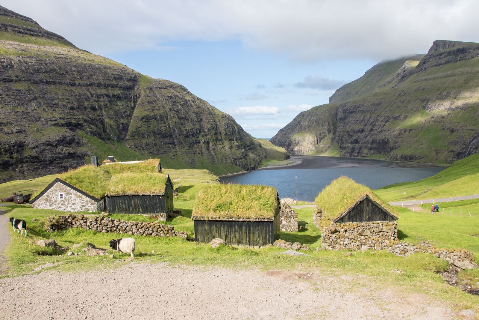 Canon EF-S 18-135mm F3.5-5.6 IS USM sample photo. Faroe islands, houses, sheep photography