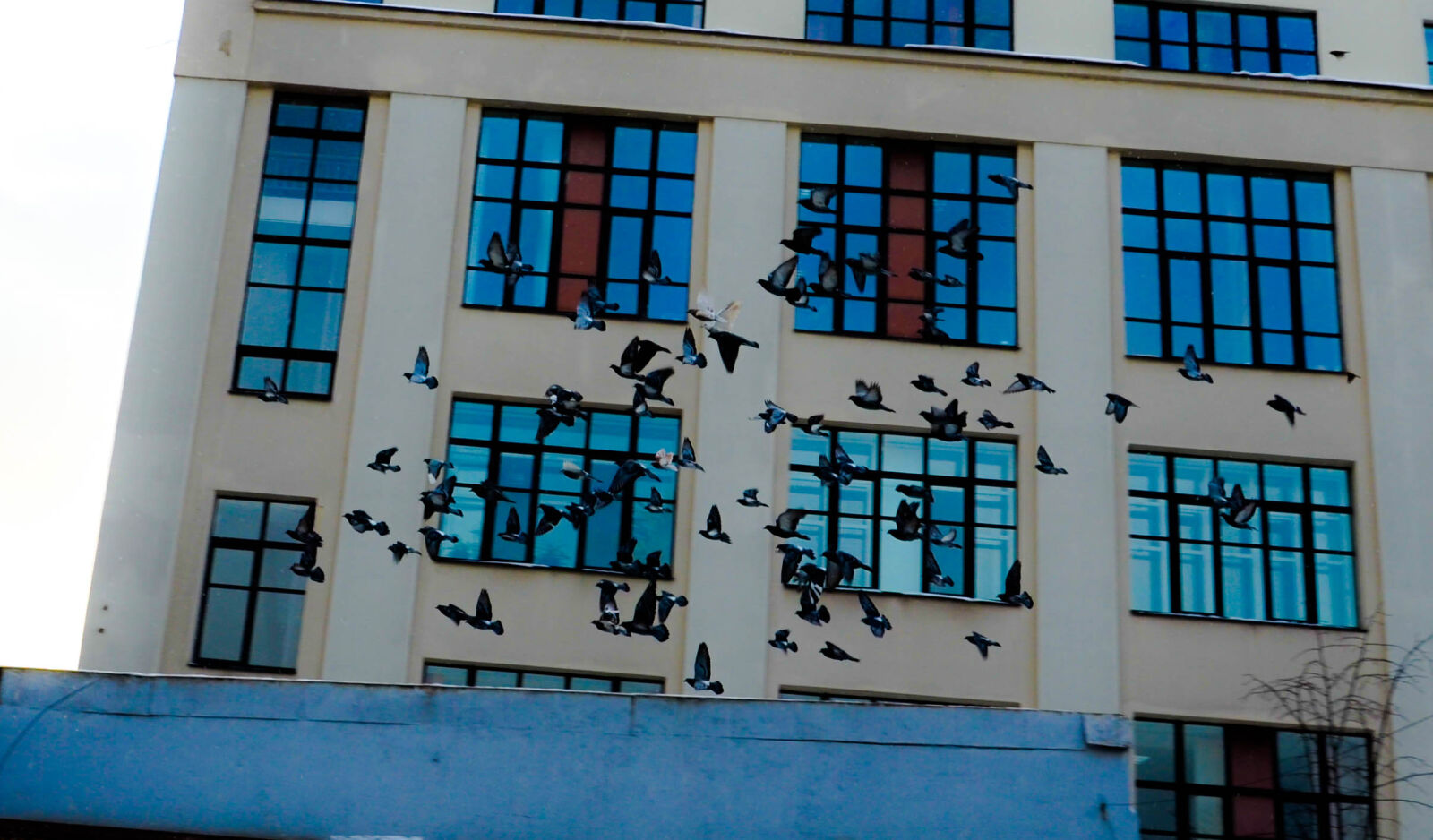 Nikon D5100 sample photo