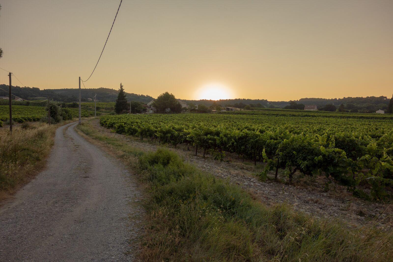 Sony Cyber-shot DSC-RX100 sample photo. Cairanne, french, vaucluse photography