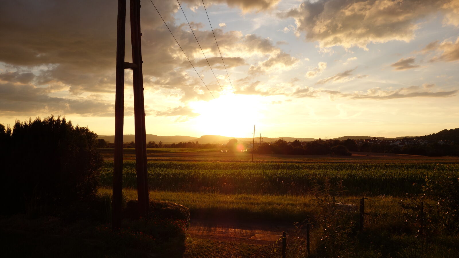 Sony Cyber-shot DSC-RX100 sample photo. Green, field, landscape, photo photography