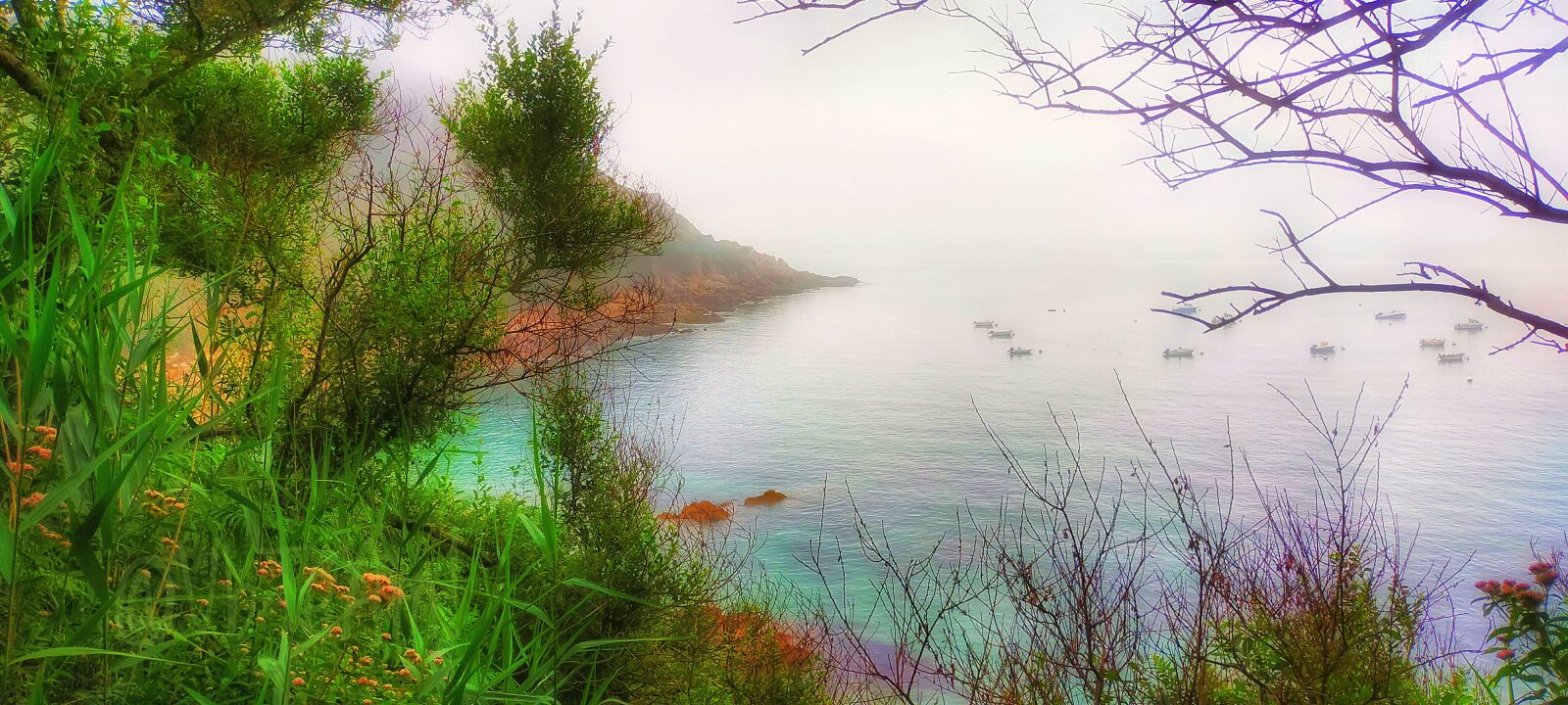 OPPO A9 2020 sample photo. Mist, sea, morning photography