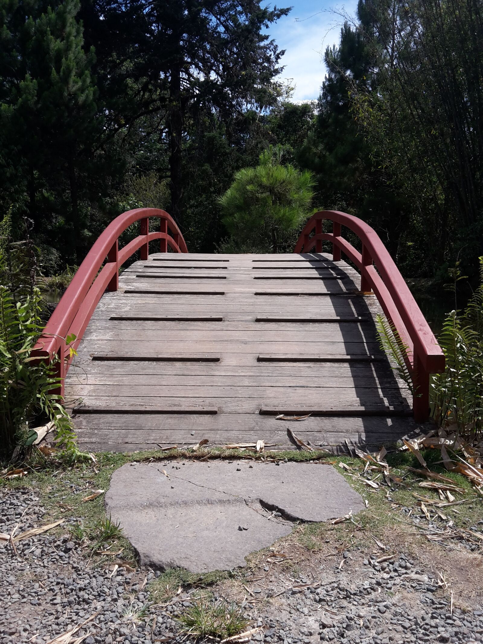 Samsung Galaxy S5 Mini sample photo. Bridge, landscape, building photography