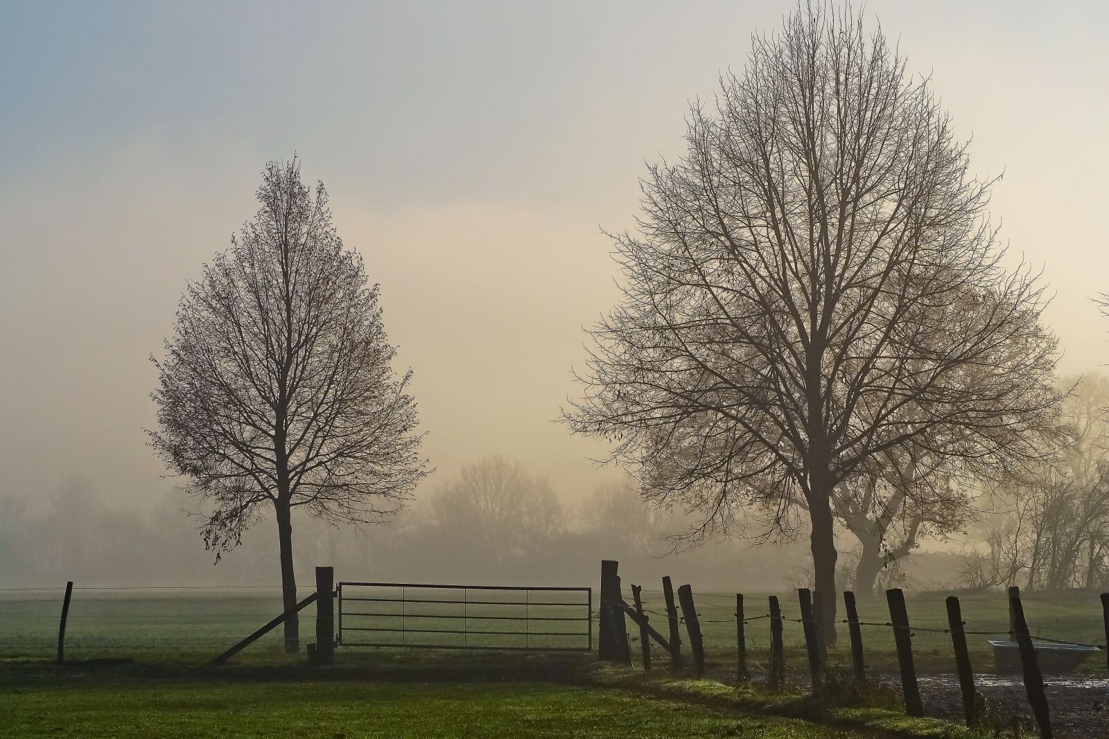 Olympus OM-D E-M10 sample photo. Landscape, fog, nature photography