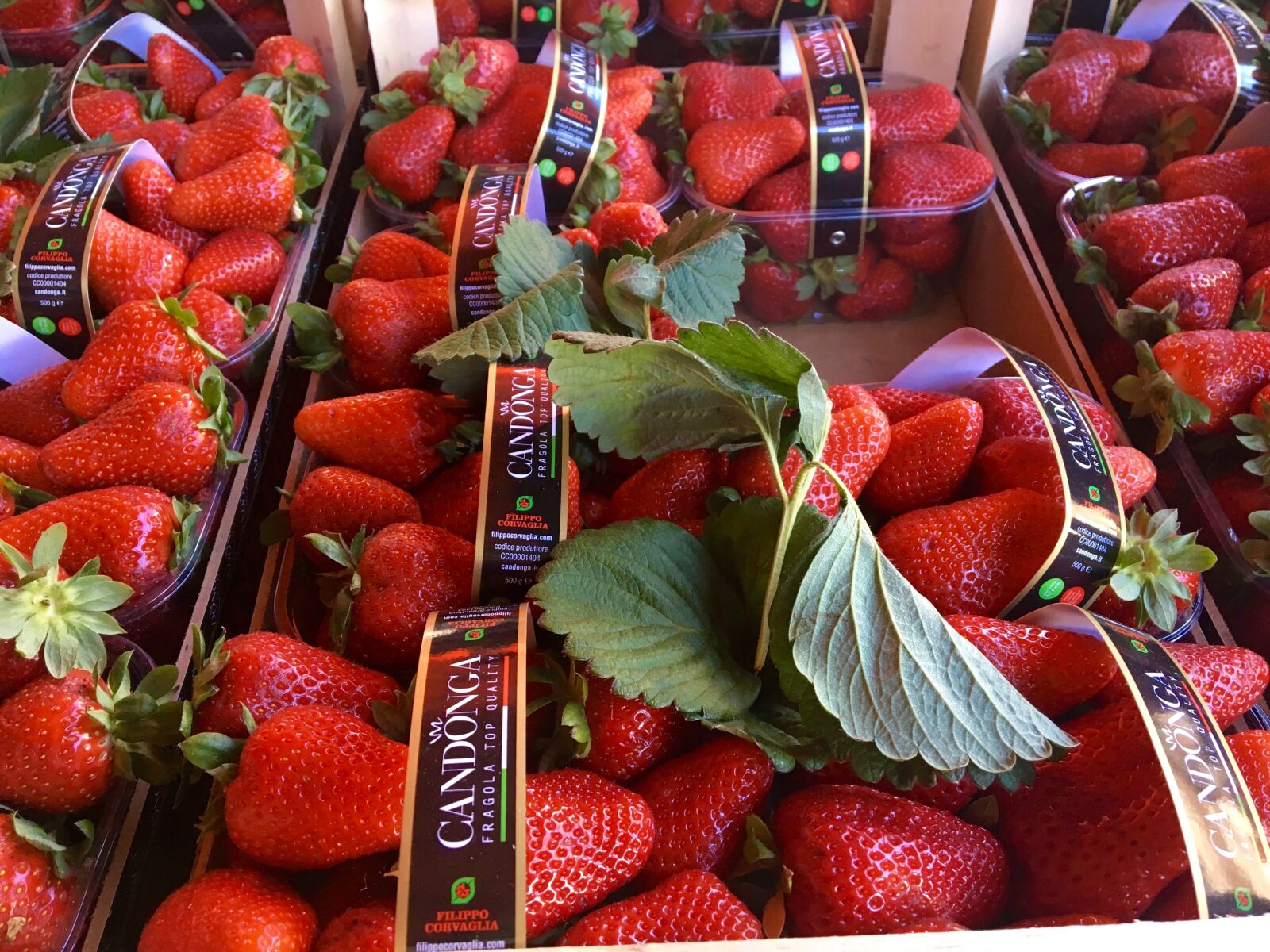 Apple iPad Pro sample photo. Strawberries, market, fruits photography