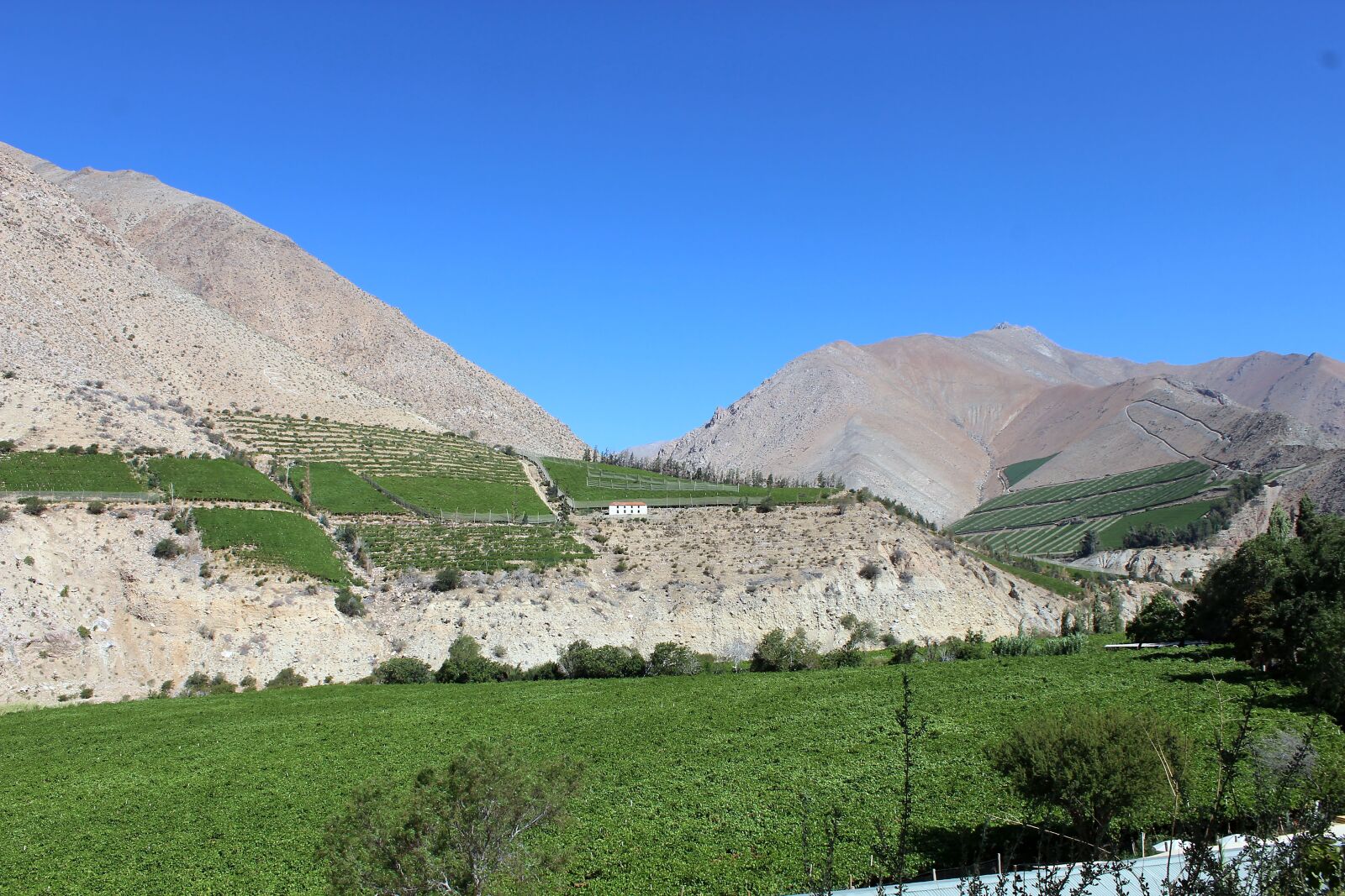 Canon EOS 600D (Rebel EOS T3i / EOS Kiss X5) sample photo. Mountain, chile, elqui photography