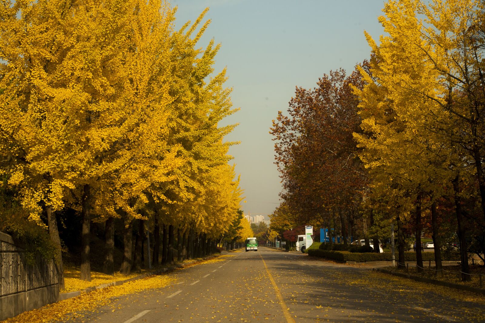 Canon EF 75-300mm f/4-5.6 sample photo. Hanam city, autumn, landscape photography