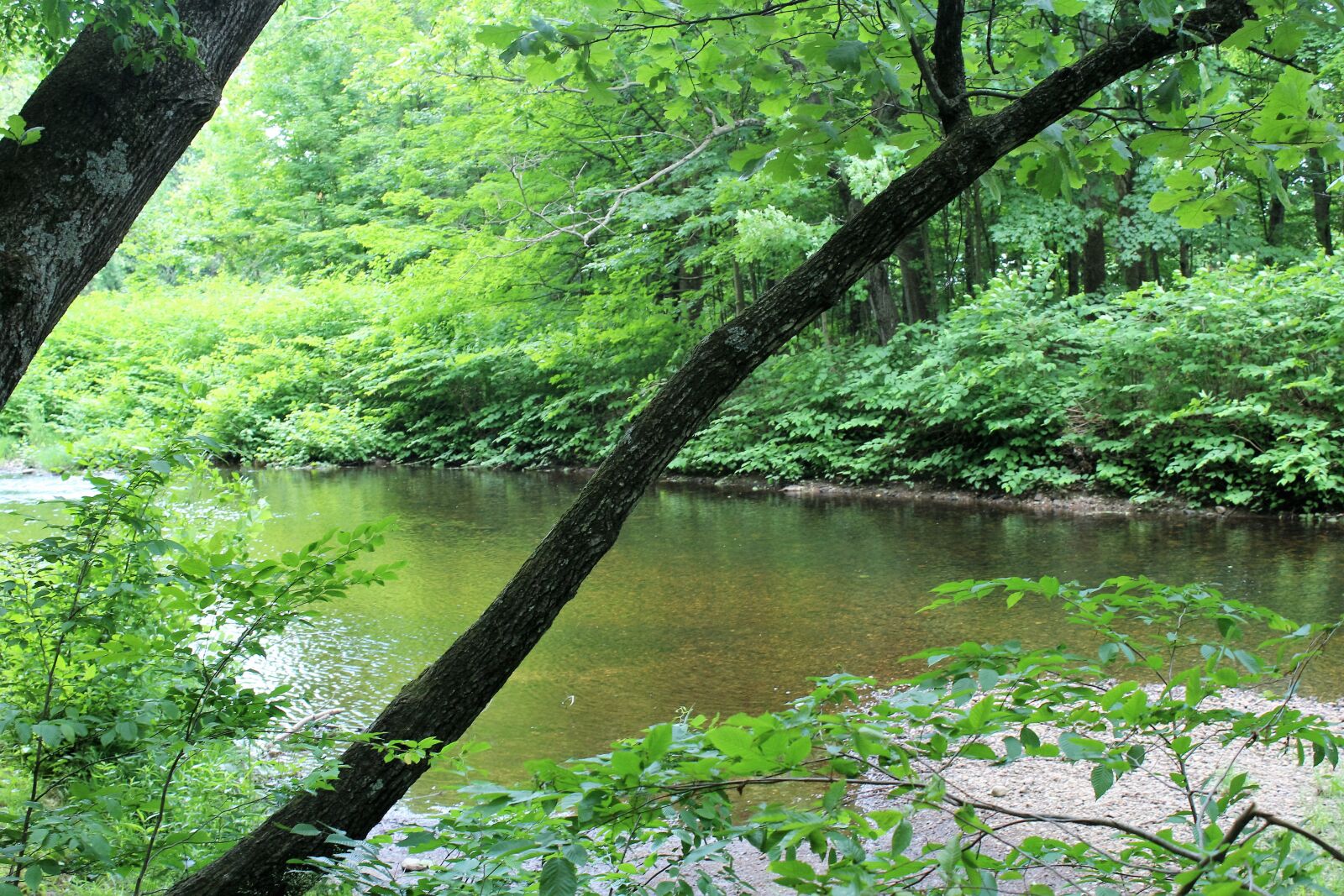 Canon EOS 1200D (EOS Rebel T5 / EOS Kiss X70 / EOS Hi) sample photo. Green, water photography