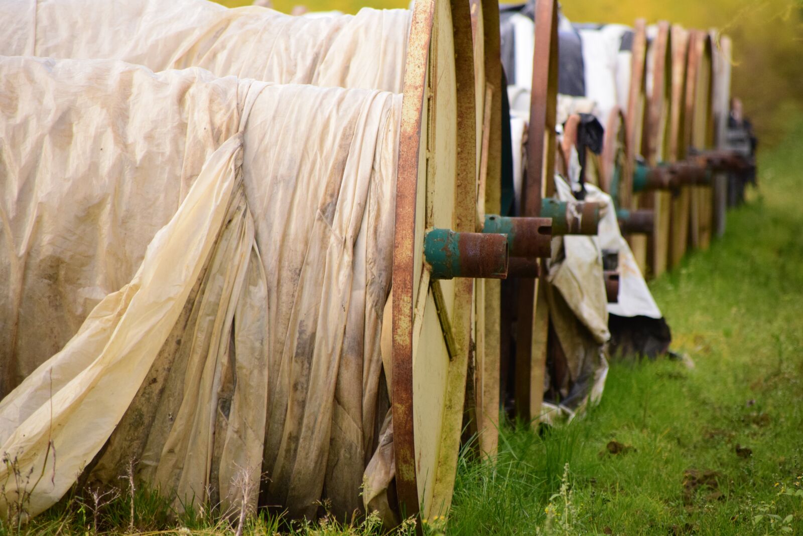 Nikon D3300 sample photo. Agriculture, roll, protection photography