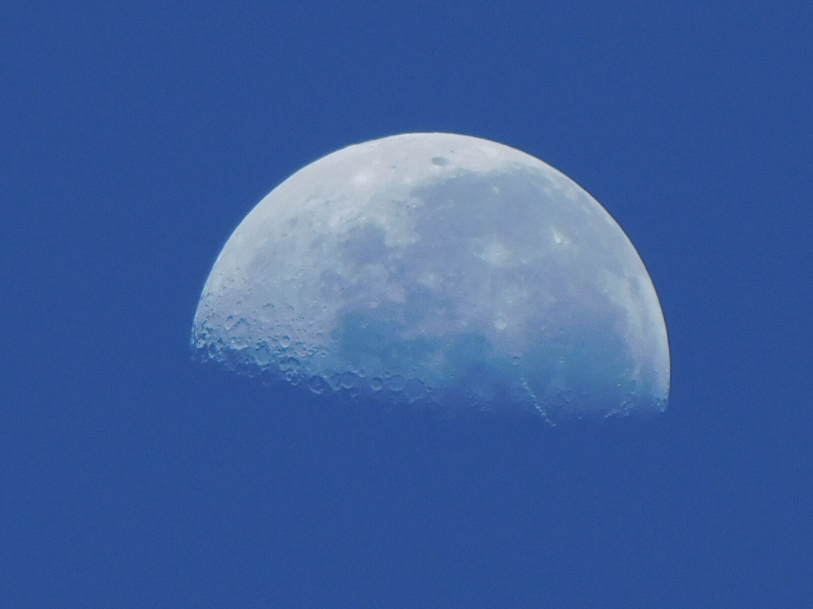 Nikon Coolpix B500 sample photo