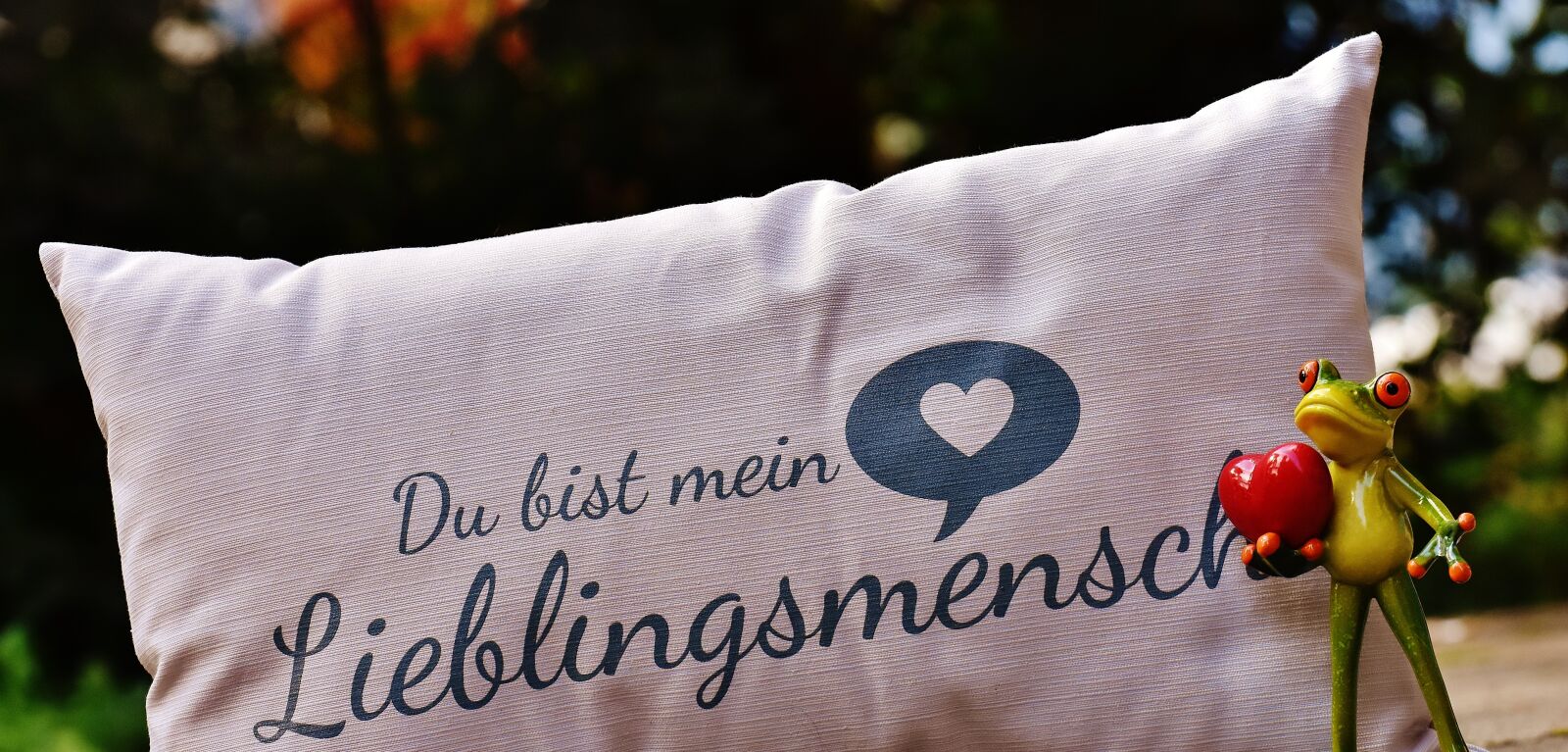 Nikon D7200 sample photo. Pillow, love, heart photography