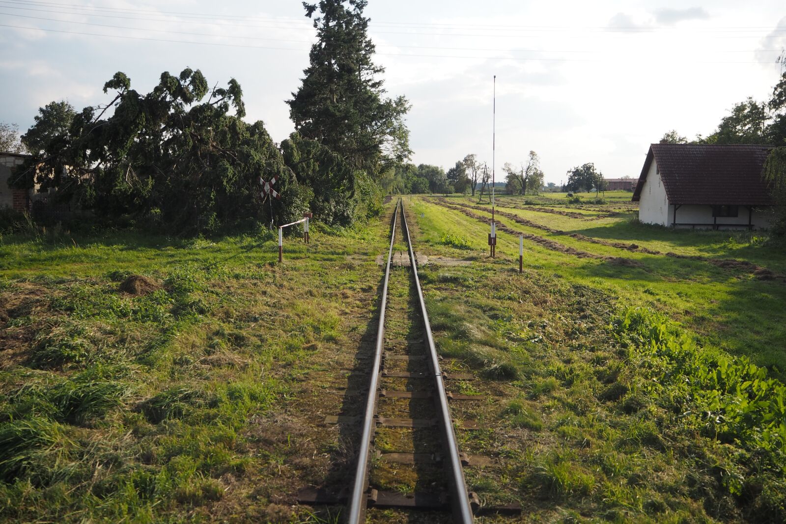Olympus PEN E-PL8 sample photo. Tracks, narrow-gauge track, railway photography