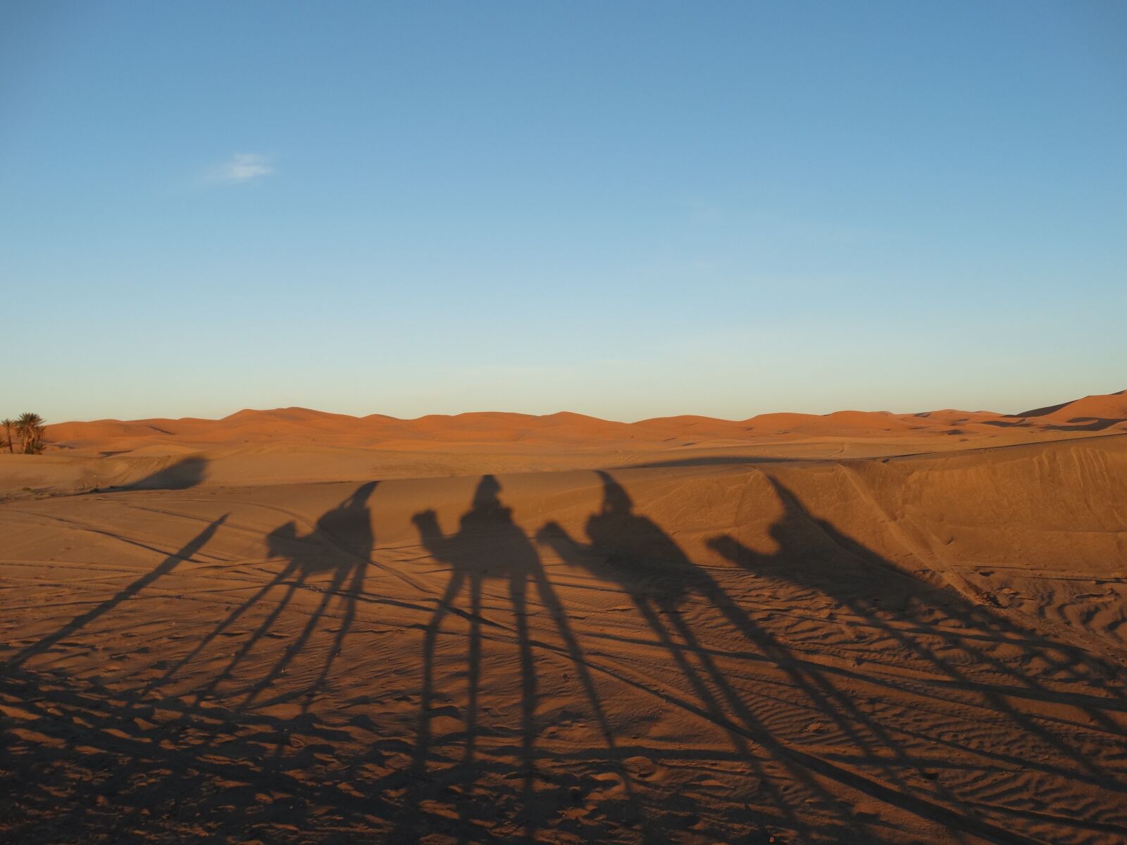 Sony Cyber-shot DSC-HX300 sample photo. Morocco, desert, sand photography