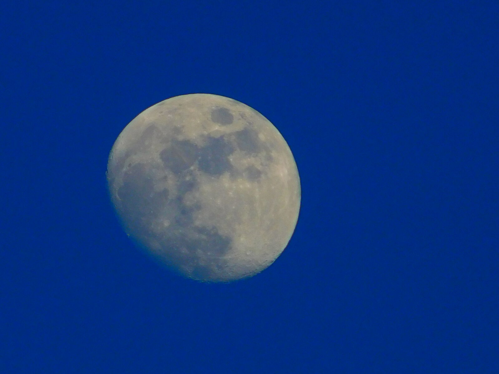 Nikon Coolpix L840 sample photo