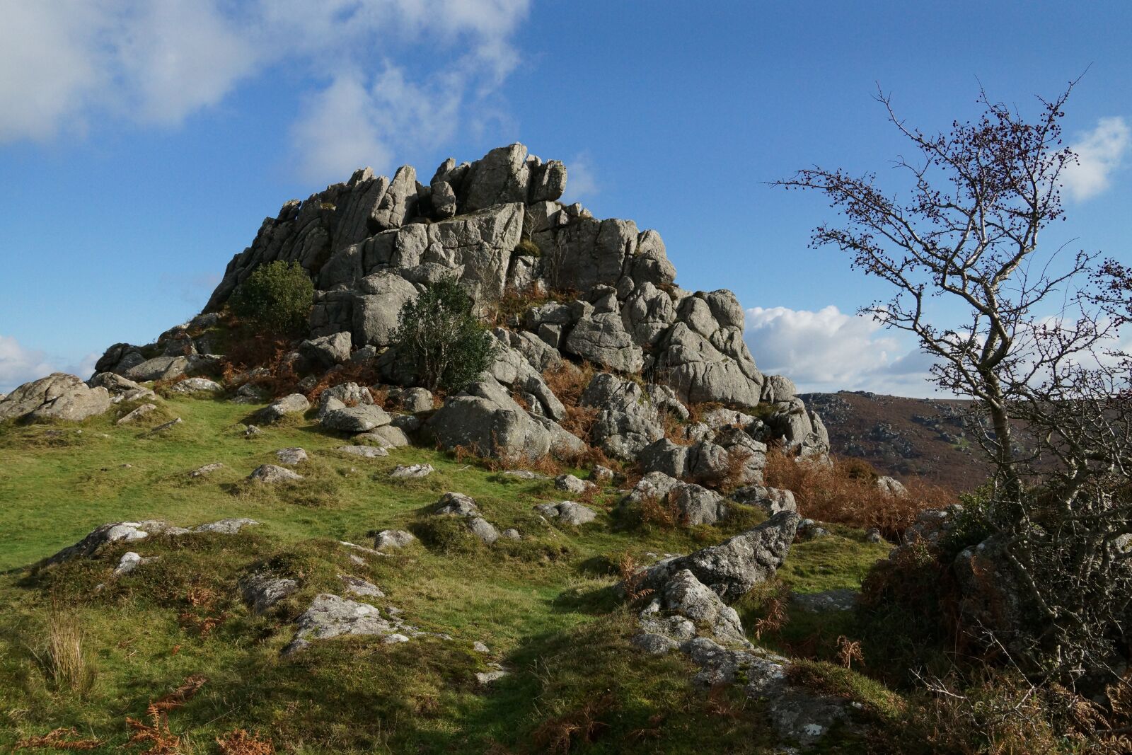 Sony SLT-A77 + Sony DT 16-50mm F2.8 SSM sample photo. Dartmoor granite, granite, dartmoor photography