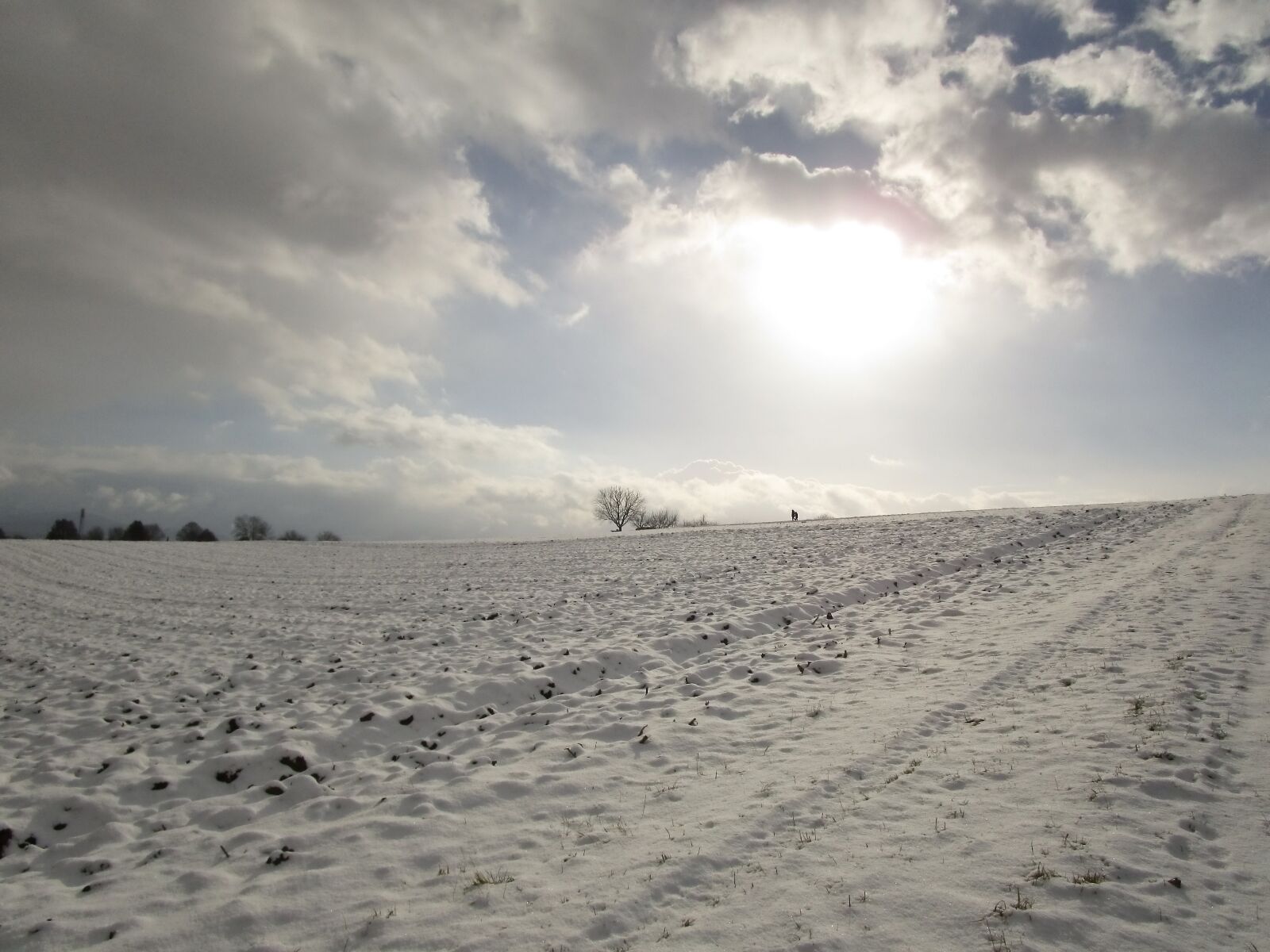 Canon PowerShot ELPH 150 IS (IXUS 155 / IXY 140) sample photo. Winter's day, snow, snow photography