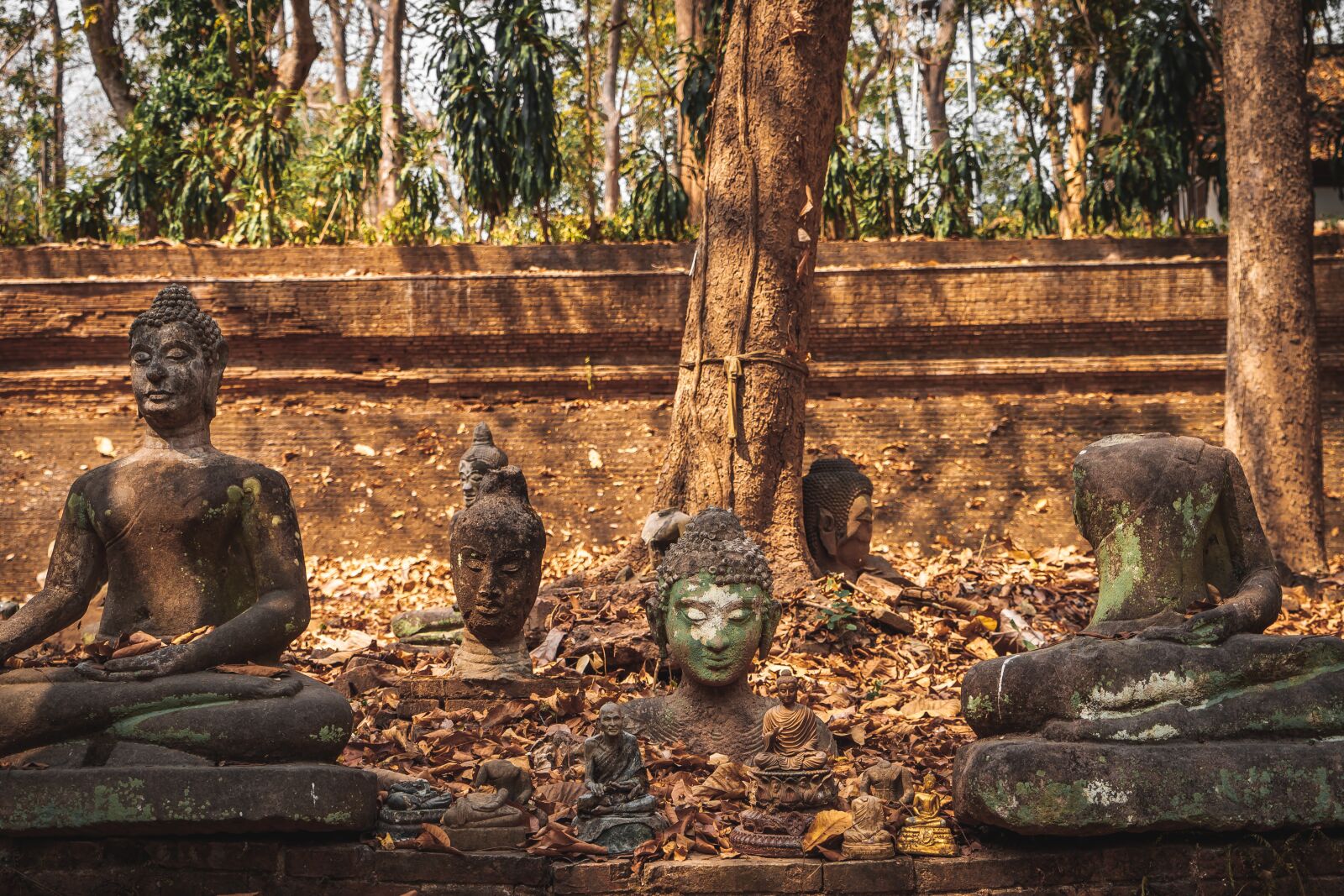 Sony a7 II + Sony Vario Tessar T* FE 24-70mm F4 ZA OSS sample photo. Wat, temple, mai photography