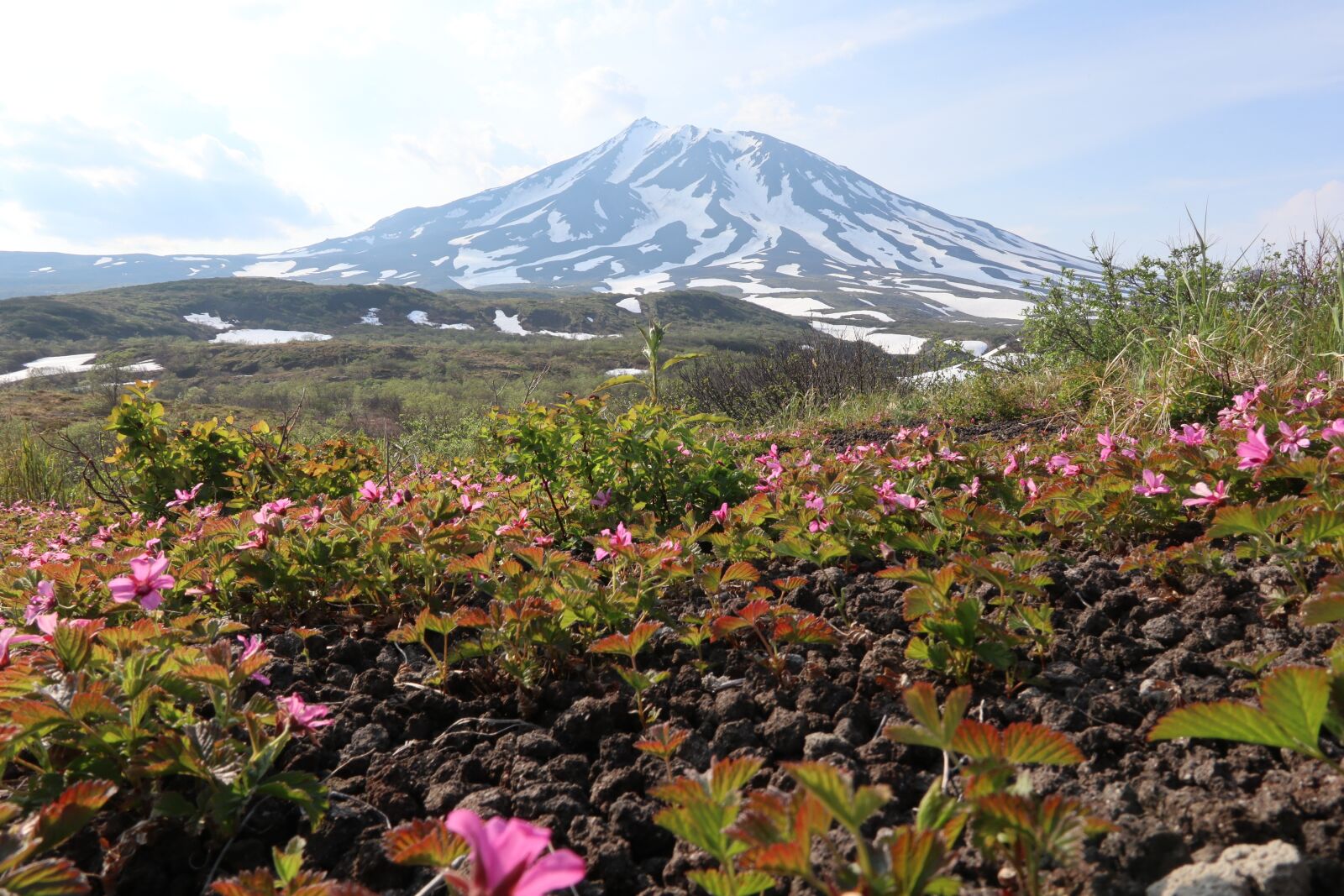 Canon PowerShot G1 X Mark III sample photo. Volcano, flowers, kamchatka photography