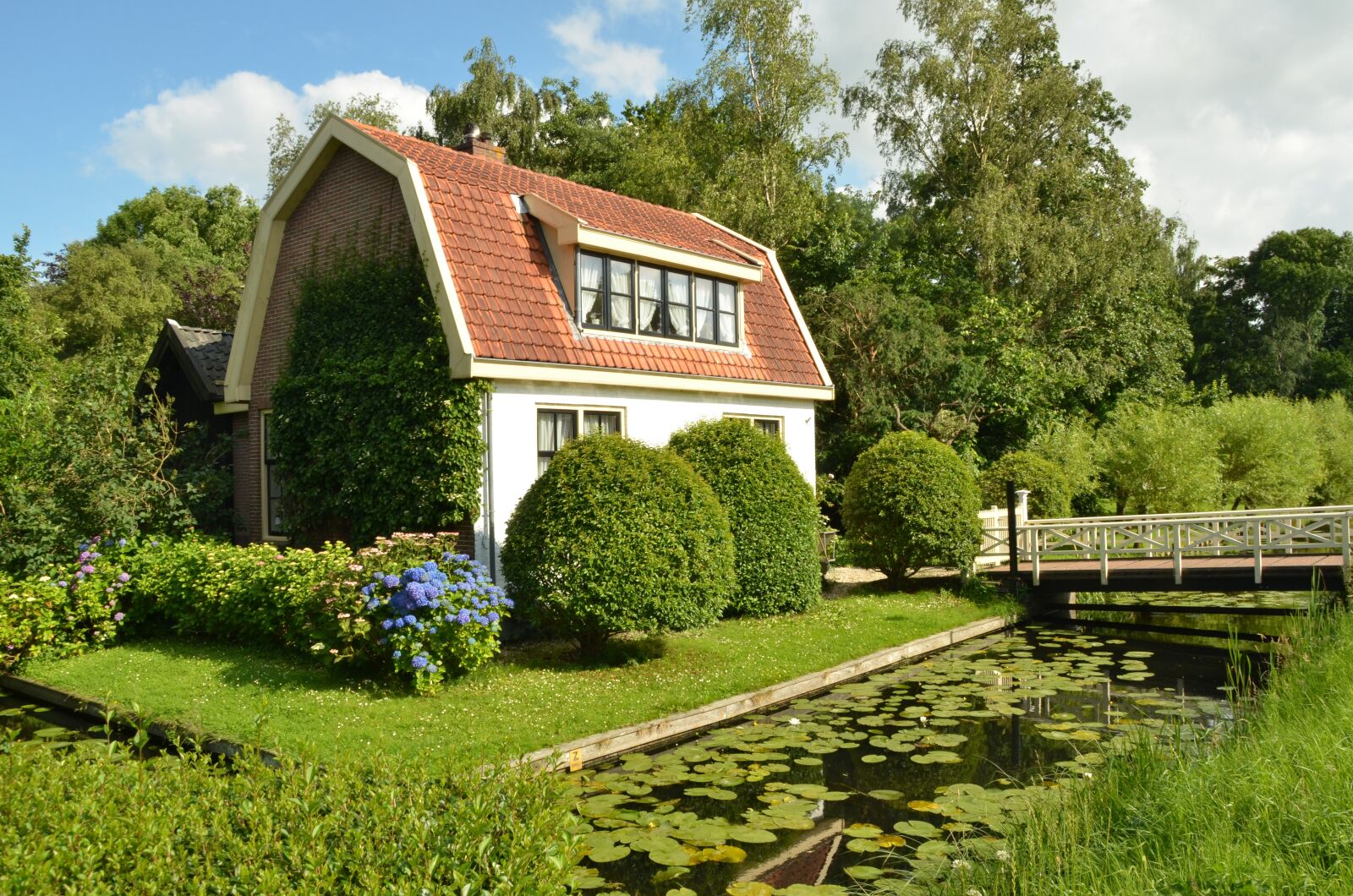 Nikon D7000 sample photo. House, home garden, bridge photography