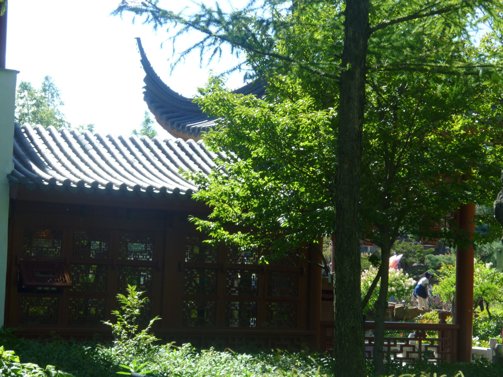 Panasonic DMC-ZR1 sample photo