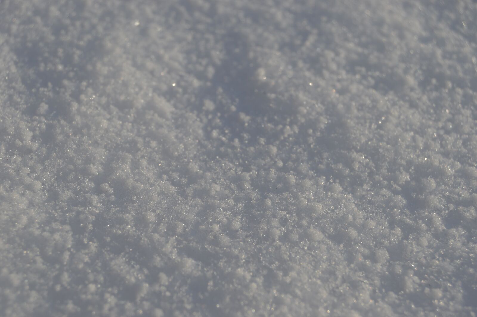 Nikon D3200 sample photo. Snow, winter, cold photography