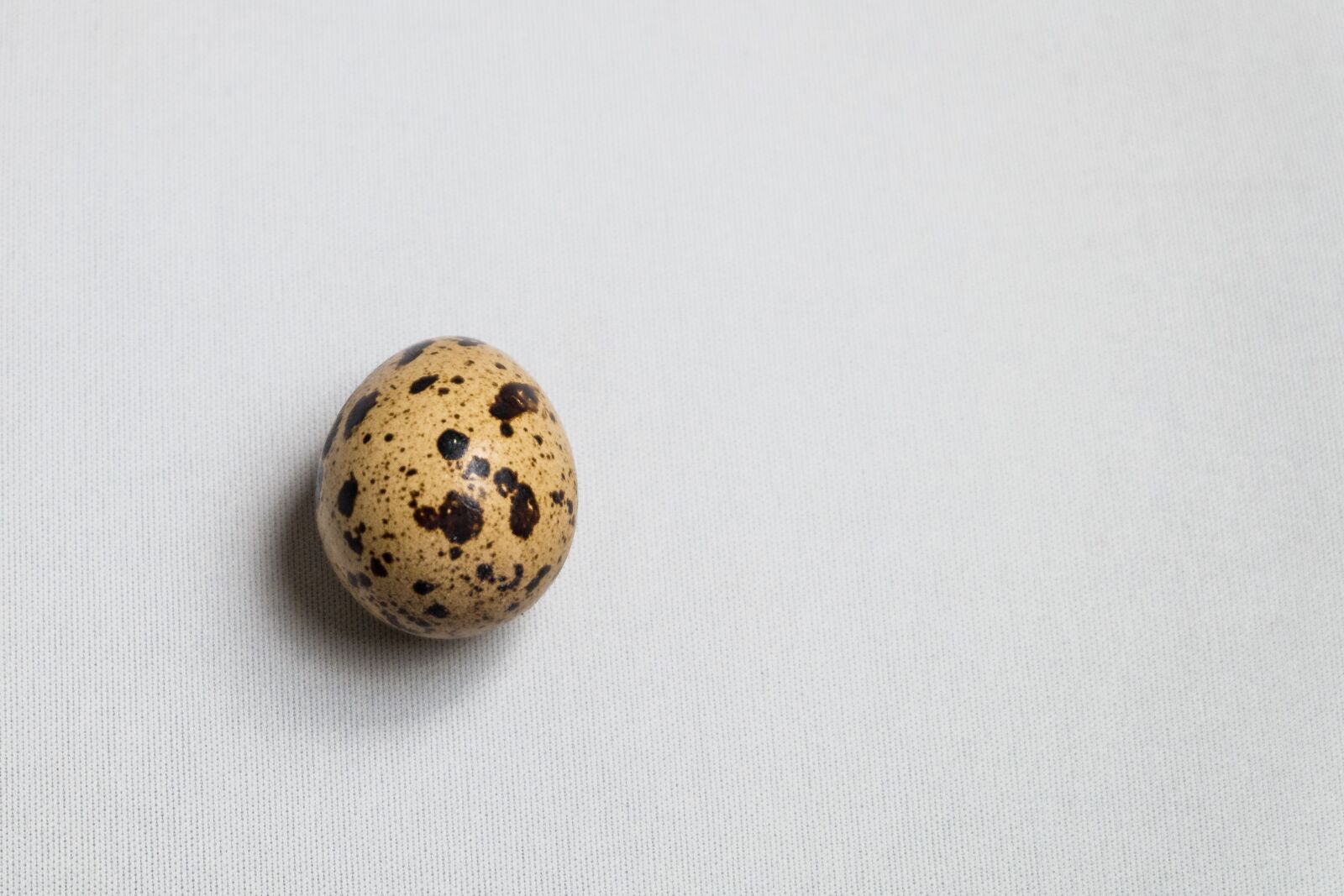 Fujifilm X-A1 sample photo. Egg, white, quail photography