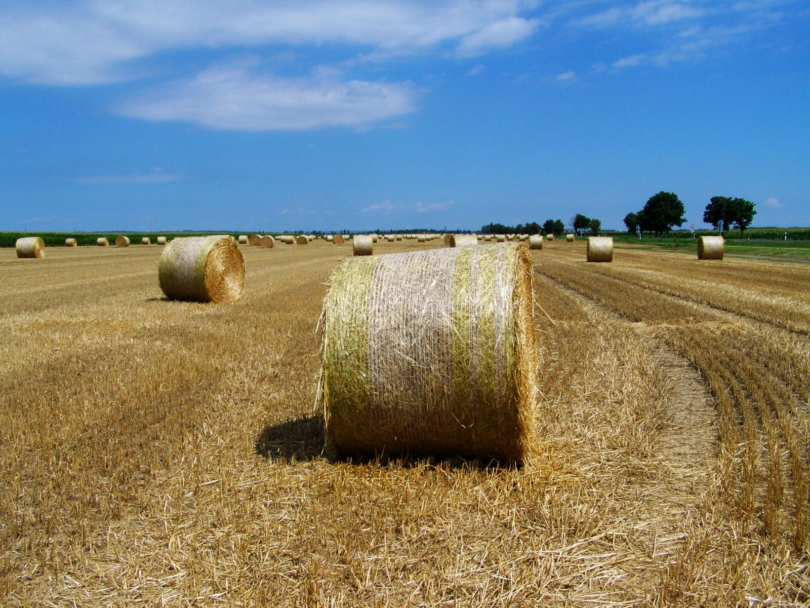 Kodak EASYSHARE ZD710 ZOOM DIGITAL CAMERA sample photo. Straw bales, stubble, agriculture photography
