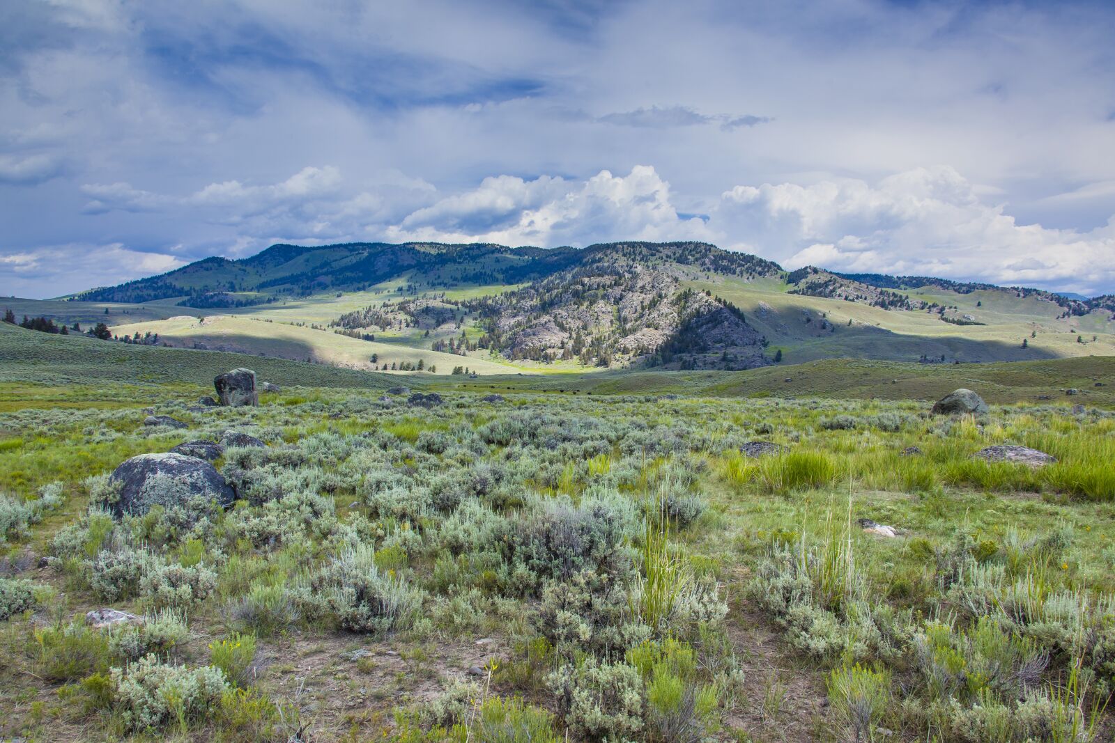 Canon EOS 5D Mark II sample photo. Meadow, prairie, tundra photography