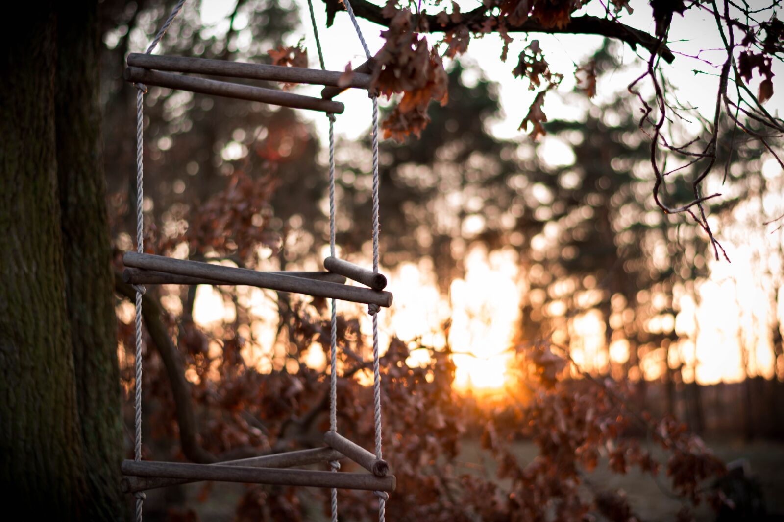 Nikon D5200 sample photo. Sunset, backlighting, sun photography
