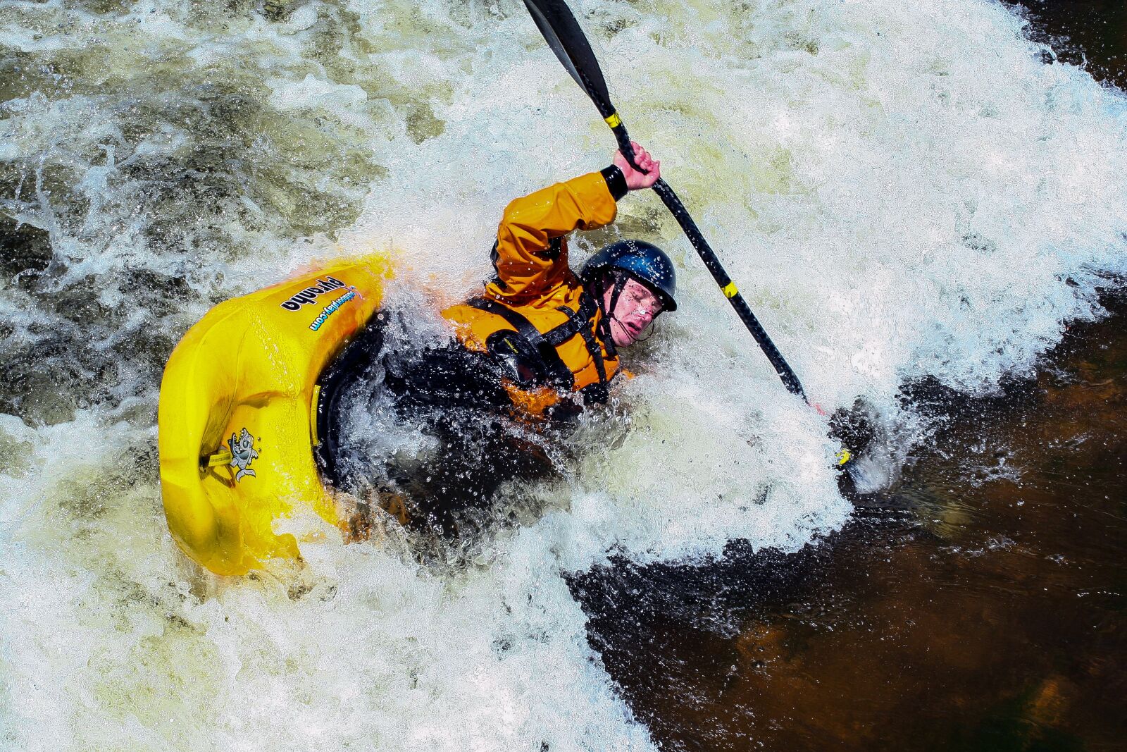 Canon EOS 350D (EOS Digital Rebel XT / EOS Kiss Digital N) sample photo. Kayak, white water, bear photography