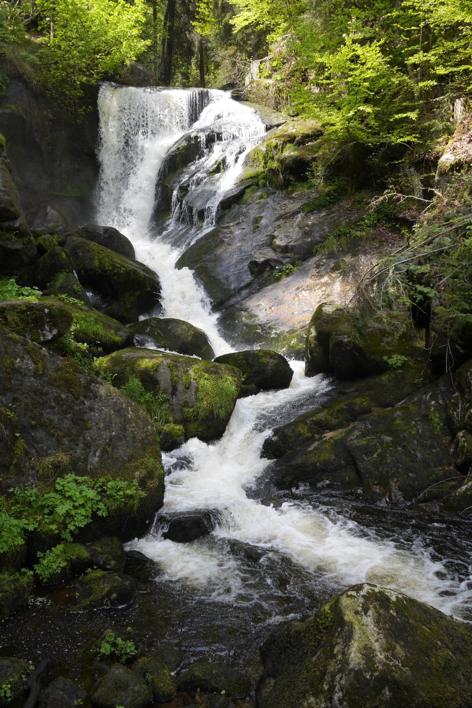 Panasonic Lumix DMC-GH3 sample photo. Triberg, waterfall, nature photography