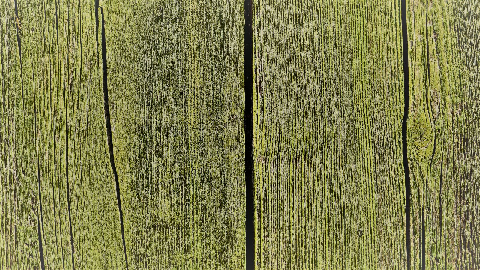 Panasonic Lumix DMC-ZS25 (Lumix DMC-TZ35) sample photo. Old, wood, wallpaper photography