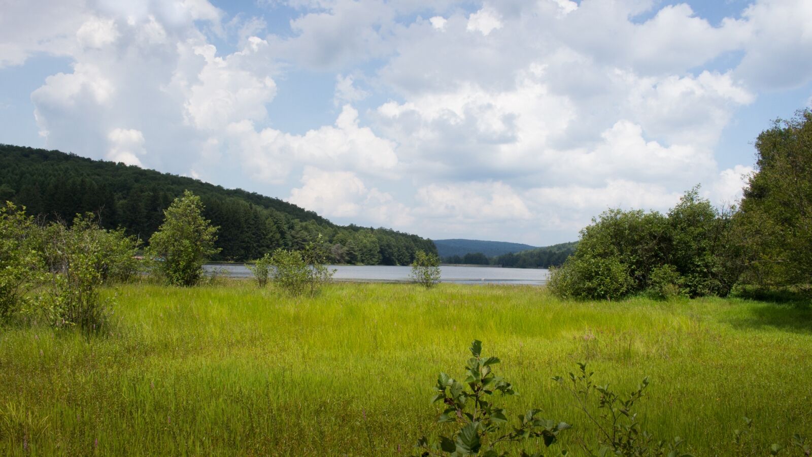 Canon EOS 700D (EOS Rebel T5i / EOS Kiss X7i) sample photo. Lake, trees, sky photography