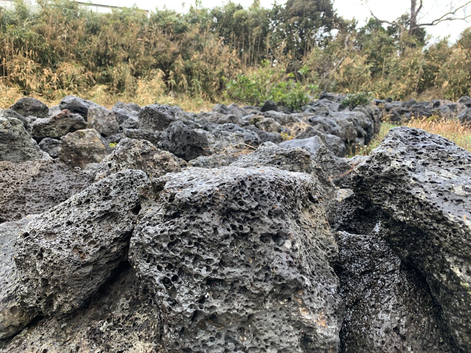 Apple iPhone XS sample photo. Jeju island, basalt, stone photography