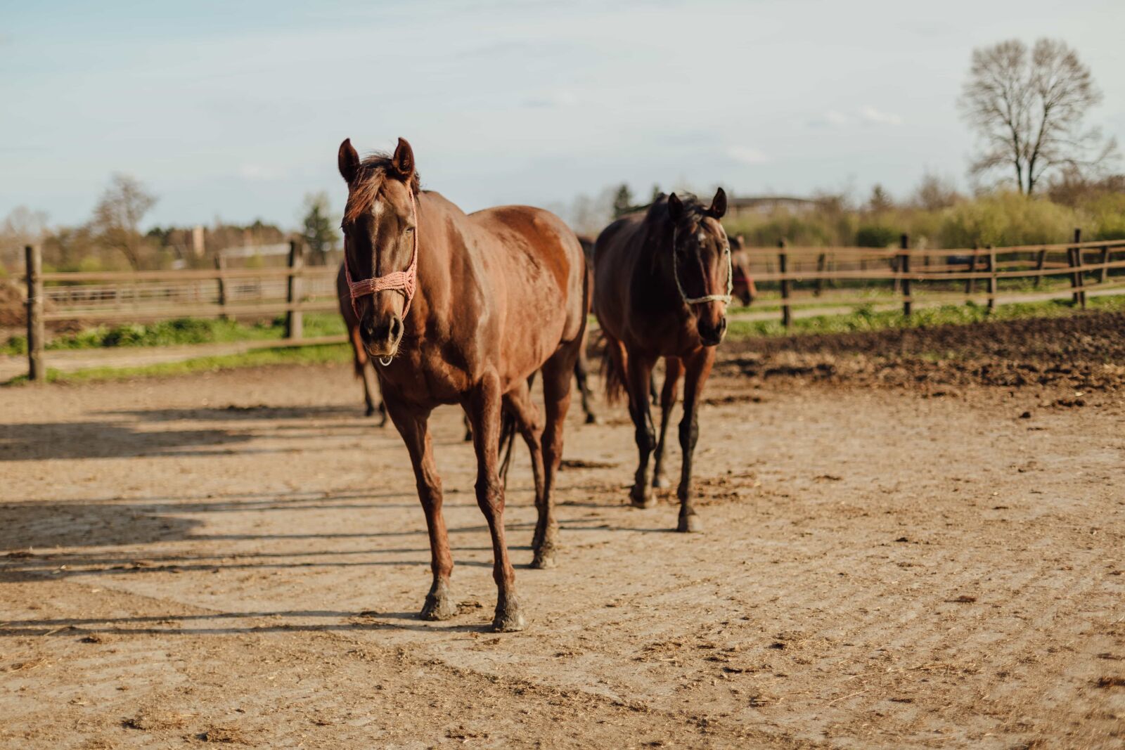 Canon EOS 5D Mark III sample photo. Countryside, farmland, ranch, farm photography