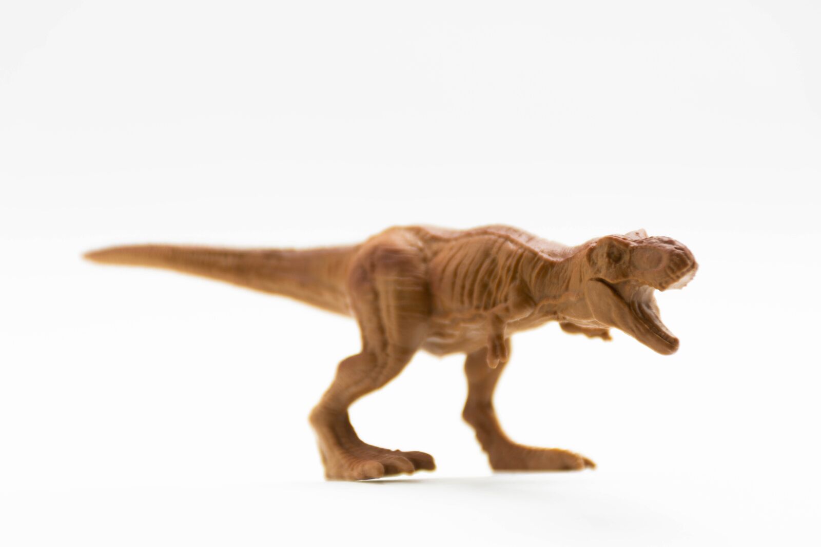 Nikon D7200 sample photo. Tyrannosaurus rex, dinosaur, miniature photography