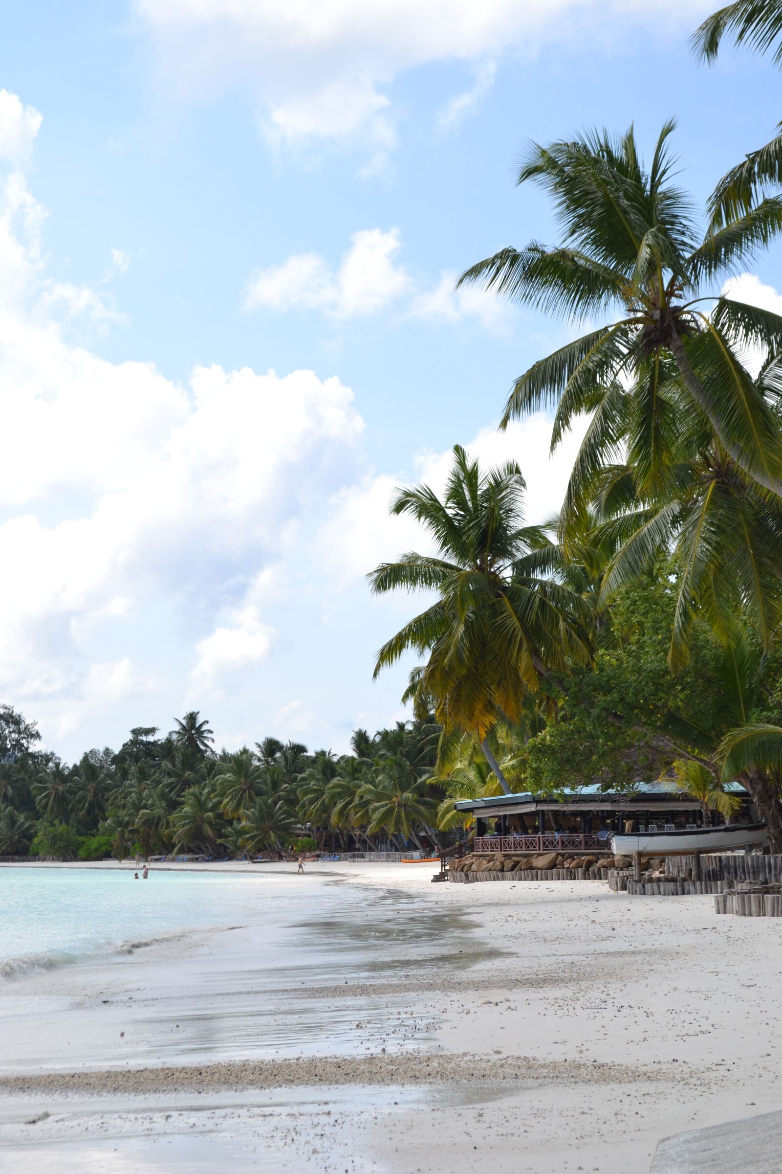 Nikon D3100 sample photo. Praslin, island, seychelles photography