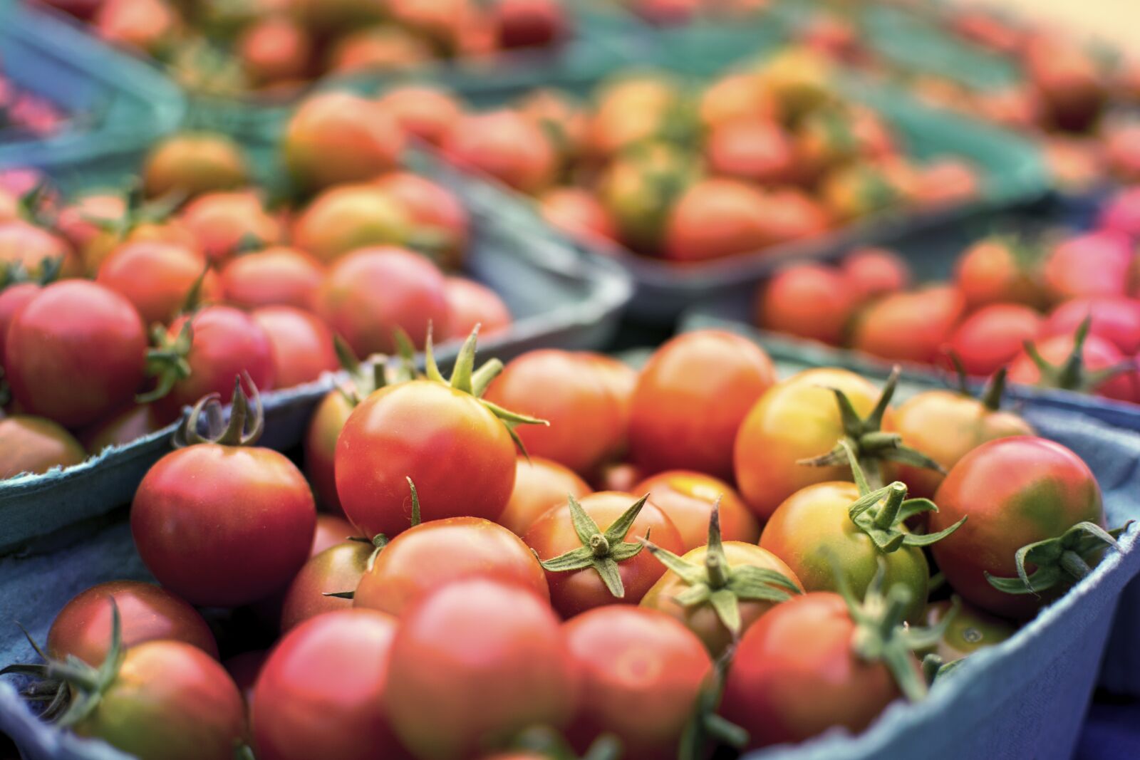 Nikon D3100 sample photo. Tomato, healthy, health photography