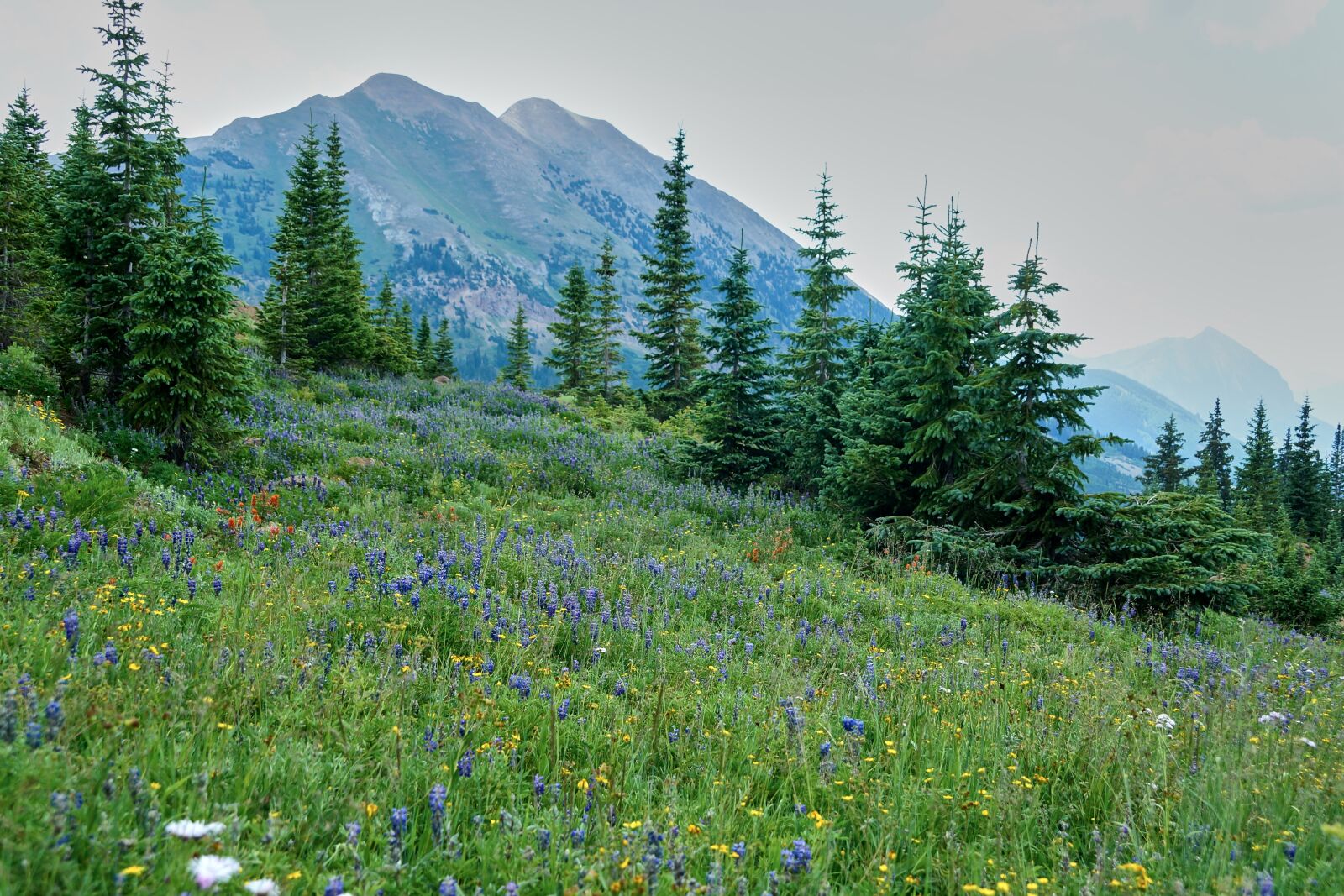 Sony SLT-A65 (SLT-A65V) sample photo. Meadow, mountain, landscape photography