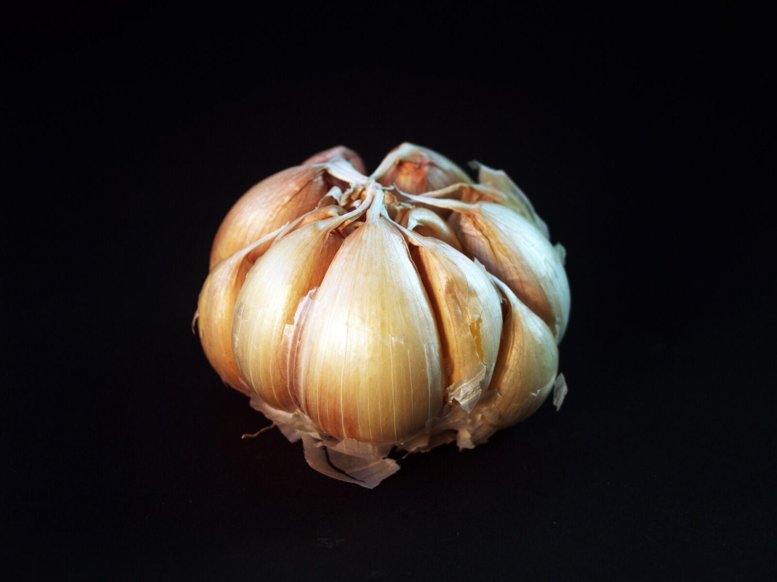 Olympus E-300 (EVOLT E-300) sample photo. Garlic, meals, white photography